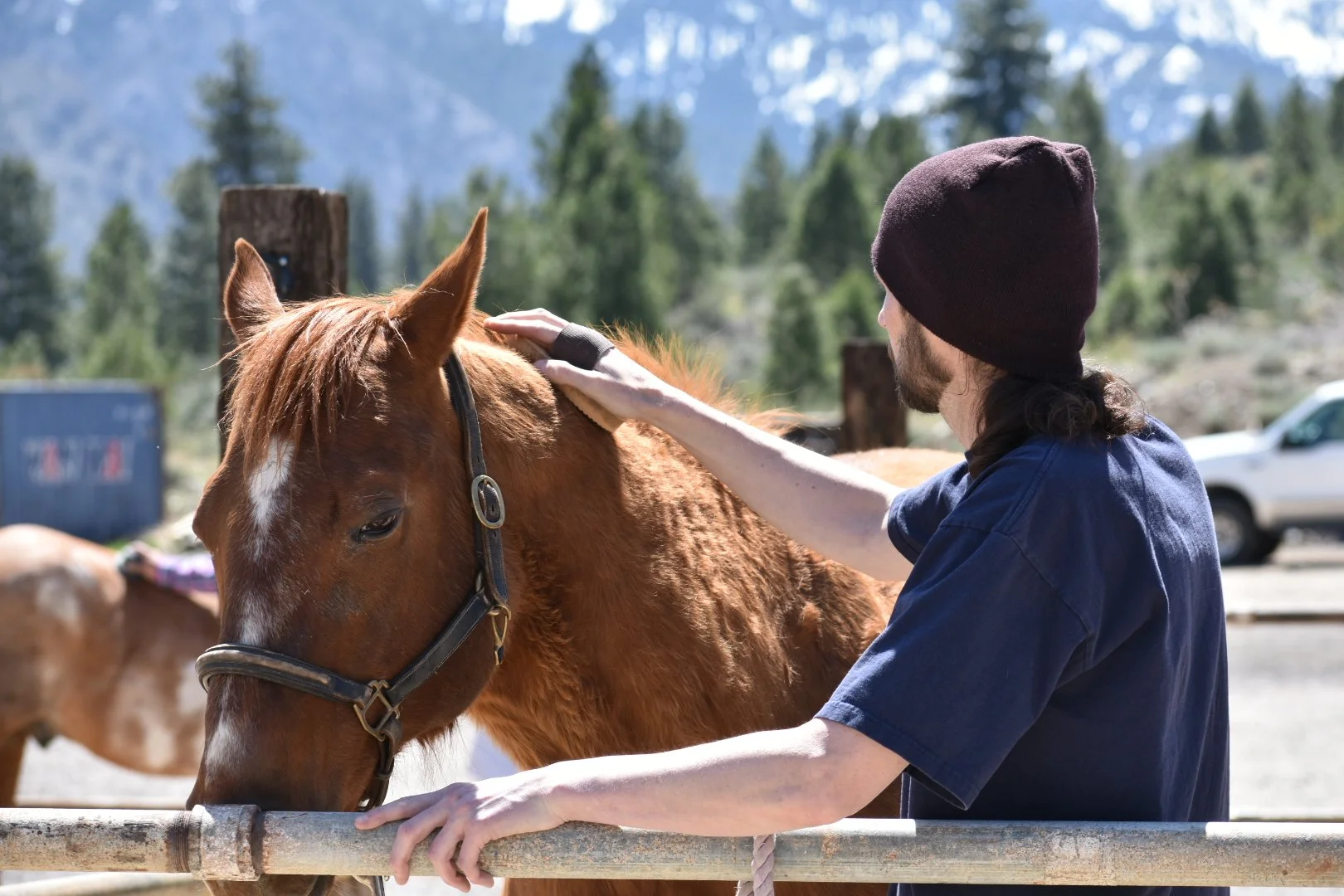 A person petting a brown horse at an outdoor ranch, with trees and mountains in the background and cars parked nearby.