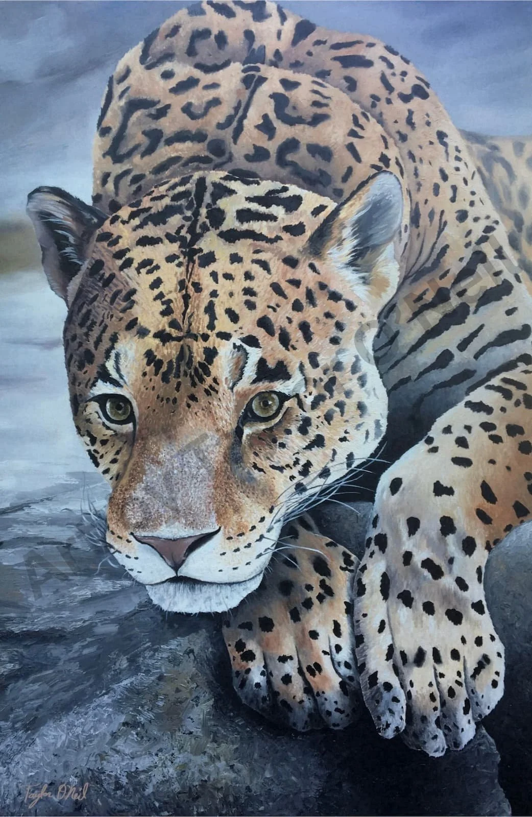Painting of a leopard with focused eyes, lying close to water, with detailed golden fur and black rosettes.