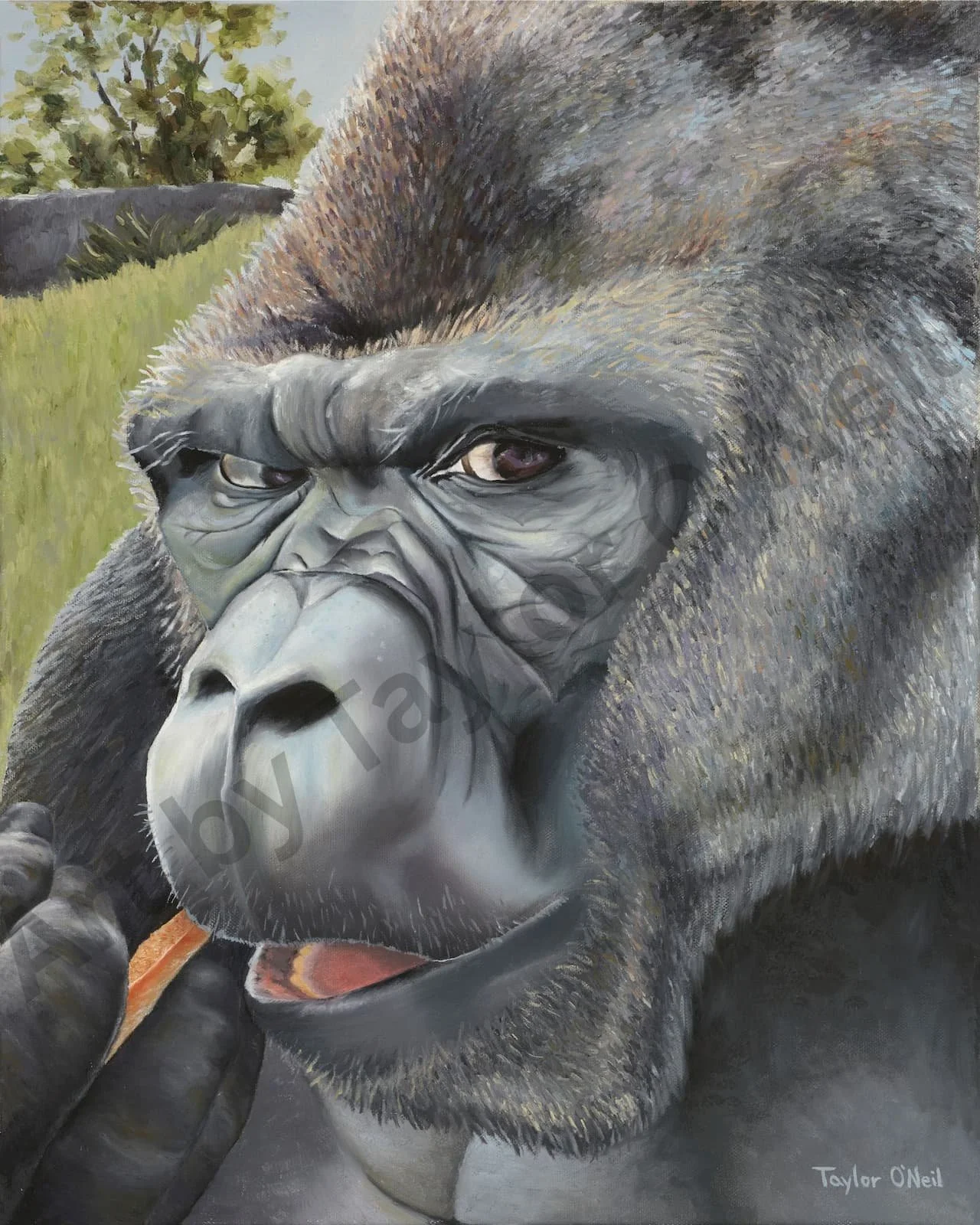 A detailed painting of a gorilla with a contemplative expression, holding a small object near its mouth, with a background of green grass and trees.
