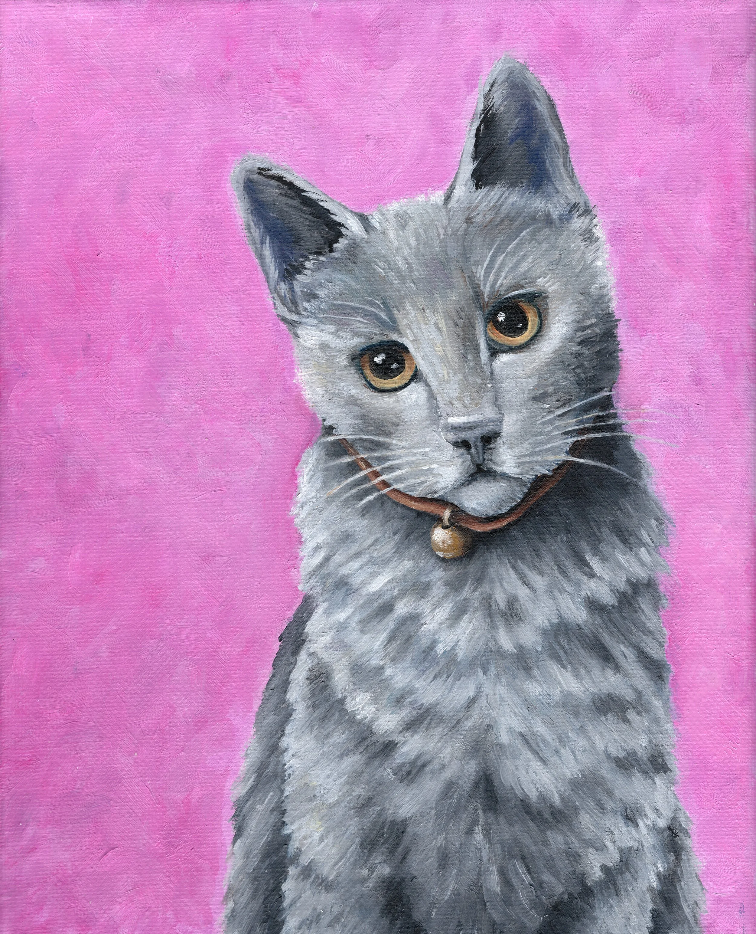Gray Cat - Fine Art Print & Canvas