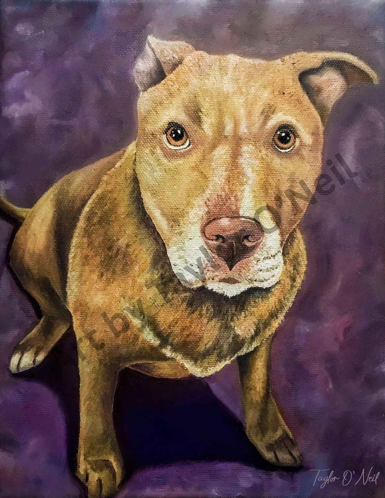 Painting of a brown dog with white markings on its face, sitting on a purple surface with a purple background.