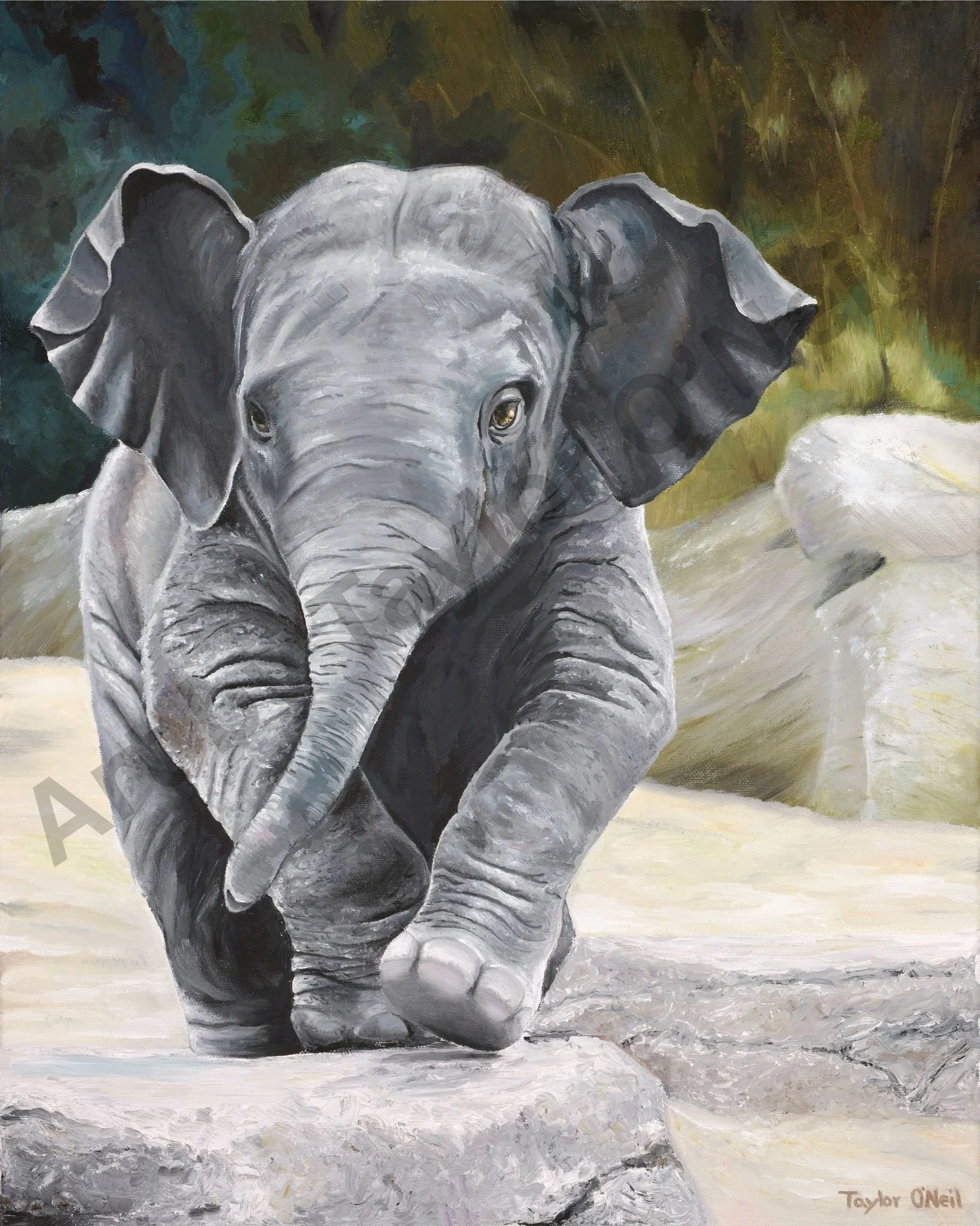 Elephant Realism Oil Painting