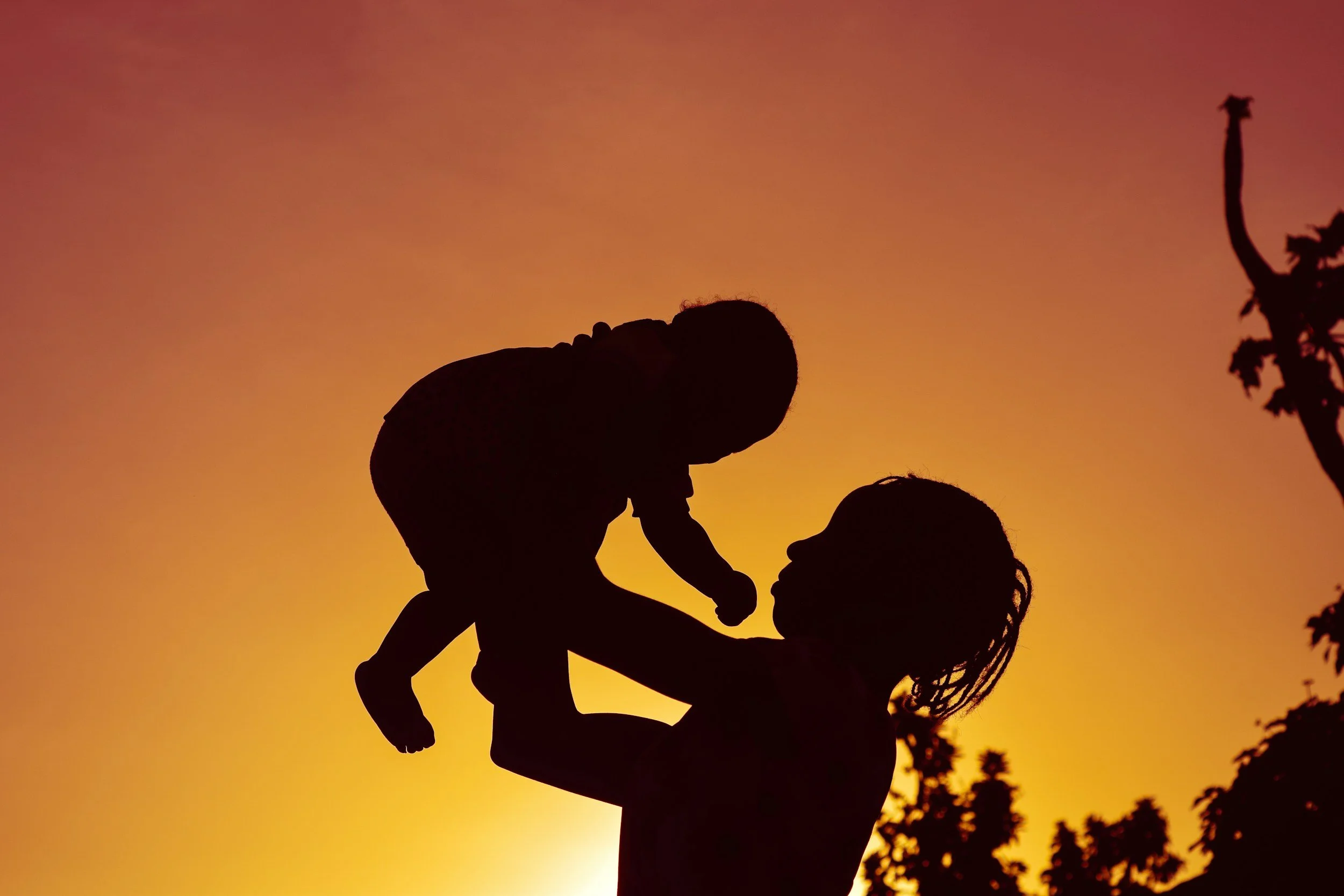 Silhouette of a woman lifting a child in front of a sunset sky.