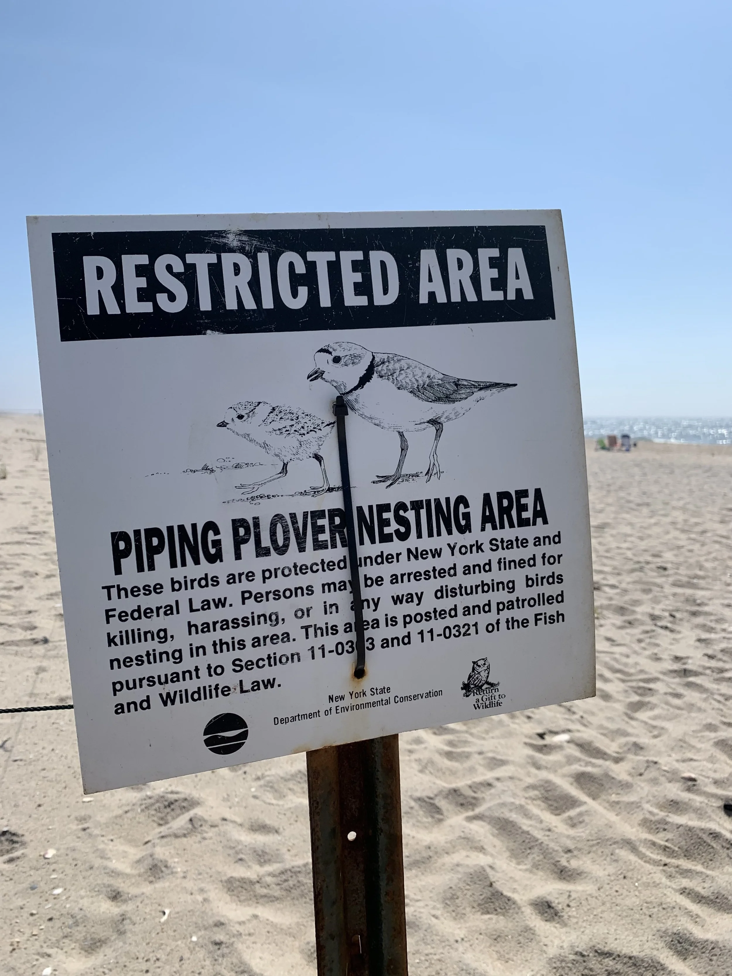 Protecting Your Nest In Postpartum
