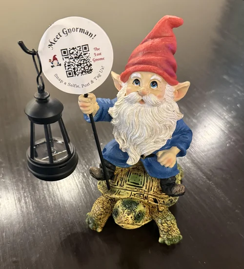 The Lost Gnome, game shop and cafe in Albany