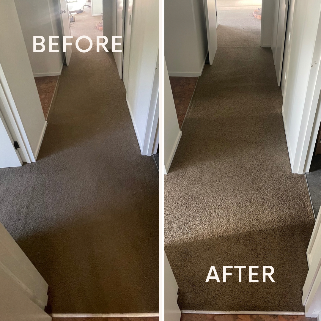 Heavily Soiled Original Carpet in a Rental Property