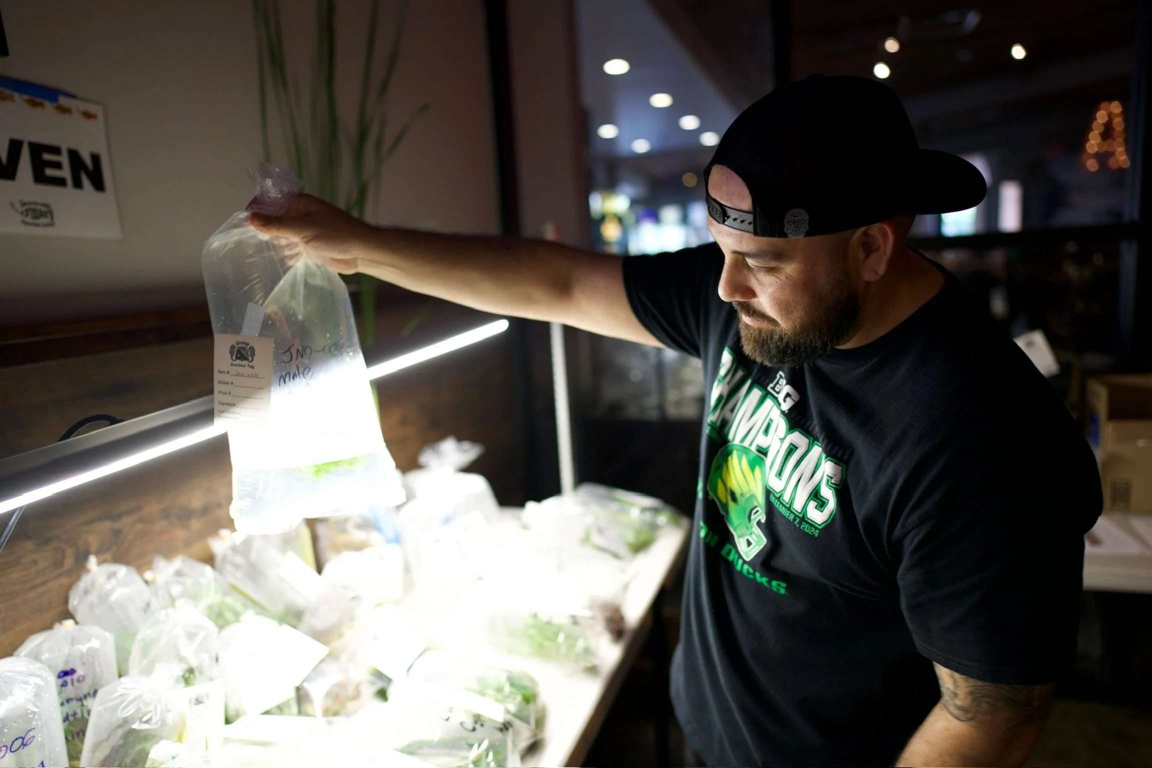 Alejandro viewing items.JPG