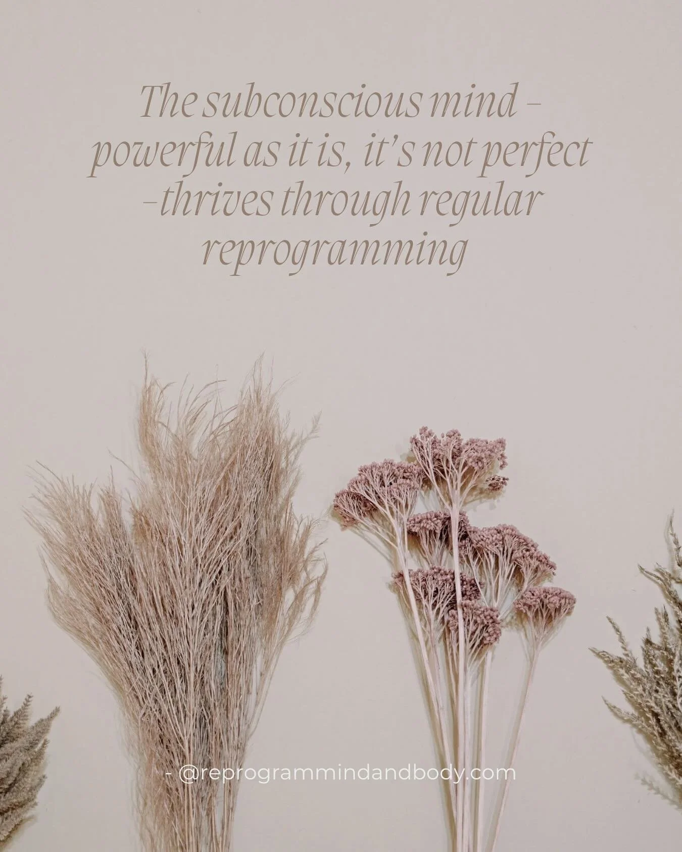 Subconscious reprogramming is an effective tool for reorganising memories, habits, and learned behaviours.

#subconsciousreprogramming #thetahealing