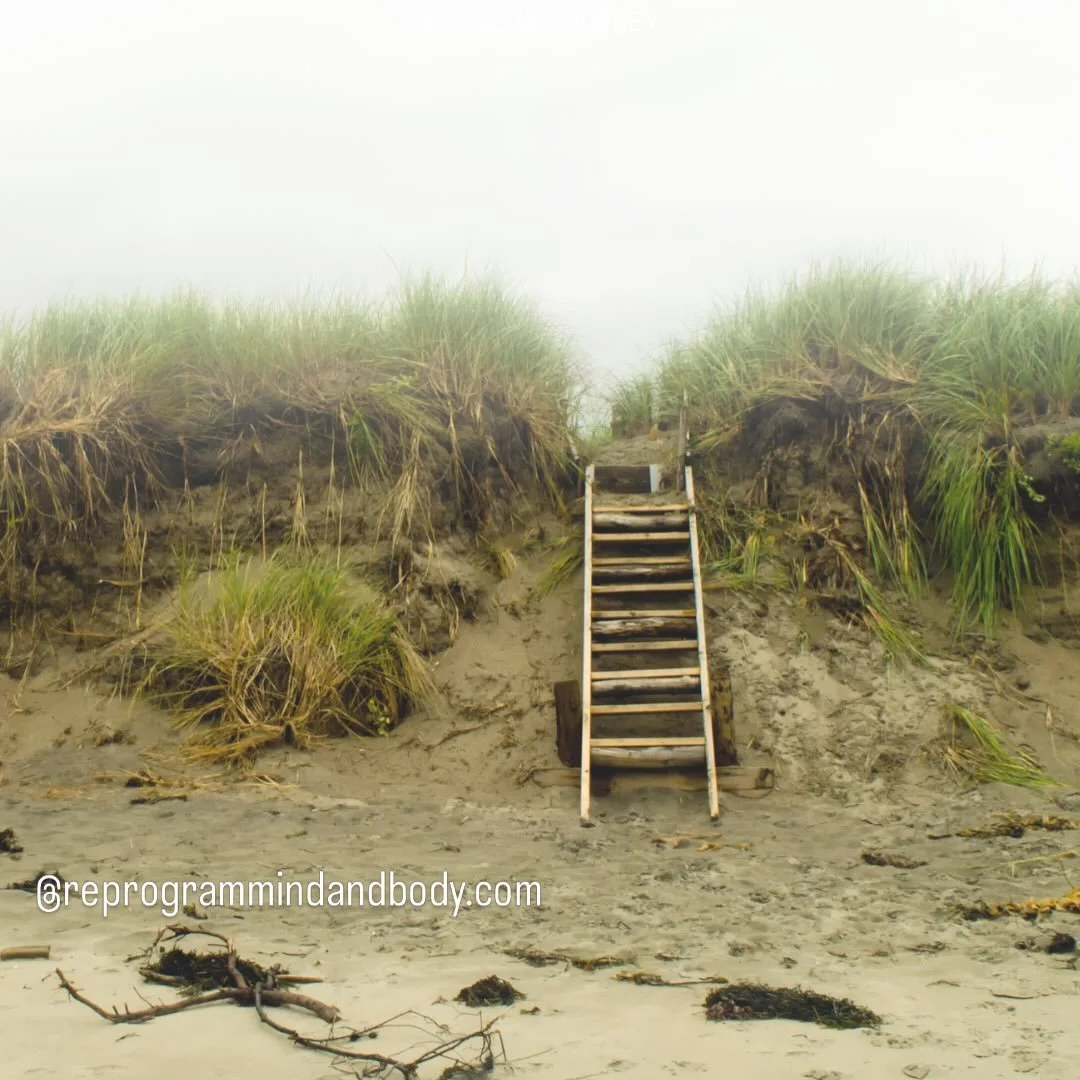 I believe our natural state is contentment. From this place, we branch out to experience the full range of human emotion.

If we picture contentment sitting at the centre, this is what we can call the body&rsquo;s natural resting state.

When we&rsqu