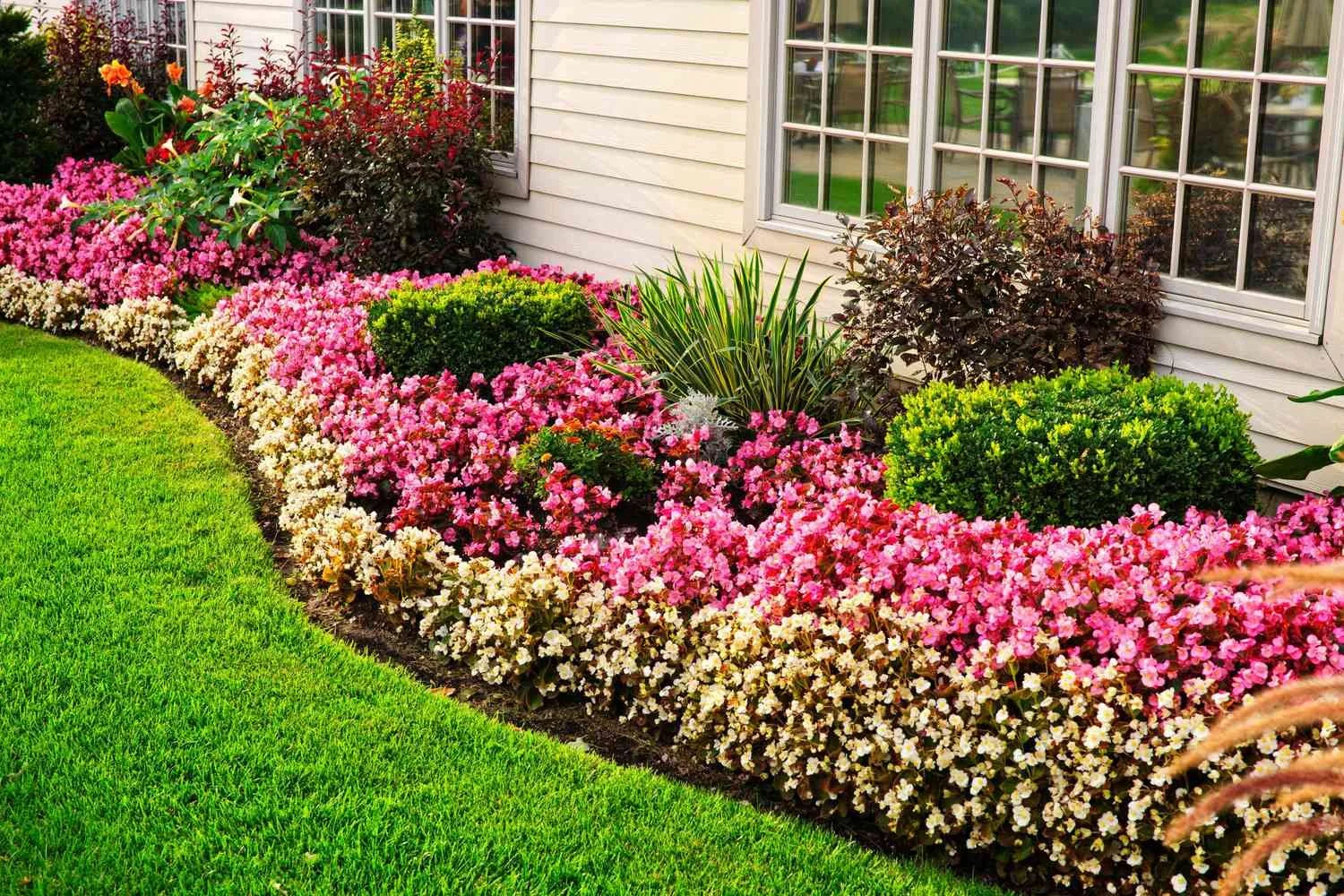 Colorful flower bed with pink, white, and purple flowers next to a tan house with large windows and a green lawn.