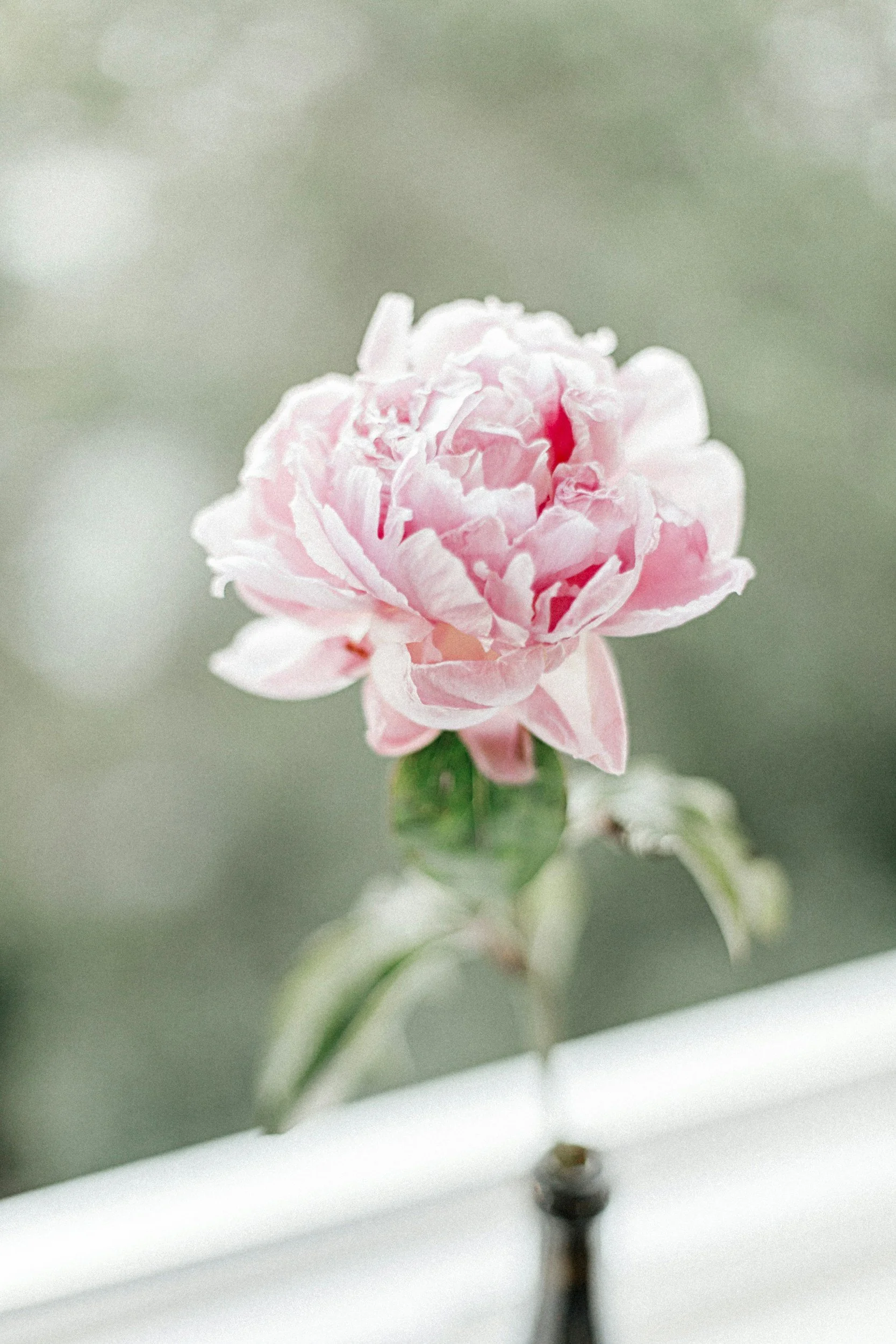 unsplash-image-xgBfrW1iHTM.jpg