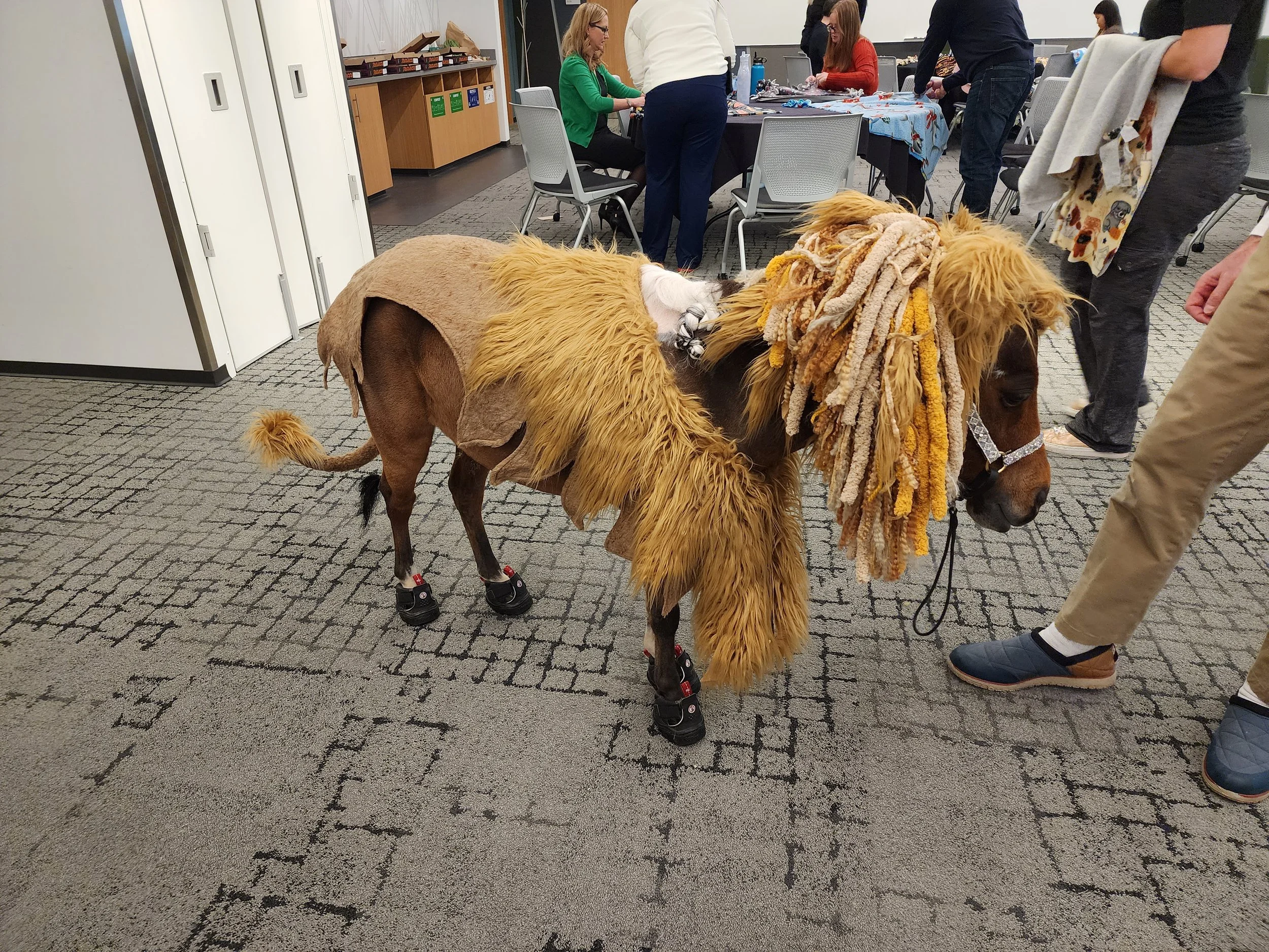 The day I brought a miniature horse into the Xbox office