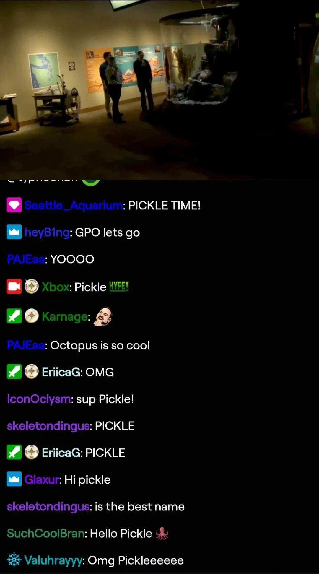 Xbox Twitch chat replay showing the community's reaction to meeting Pickle the octopus at the Seattle Aquarium, with Seattle Aquarium announcing "PICKLE TIME" and the chat filling with greetings for Pickle.