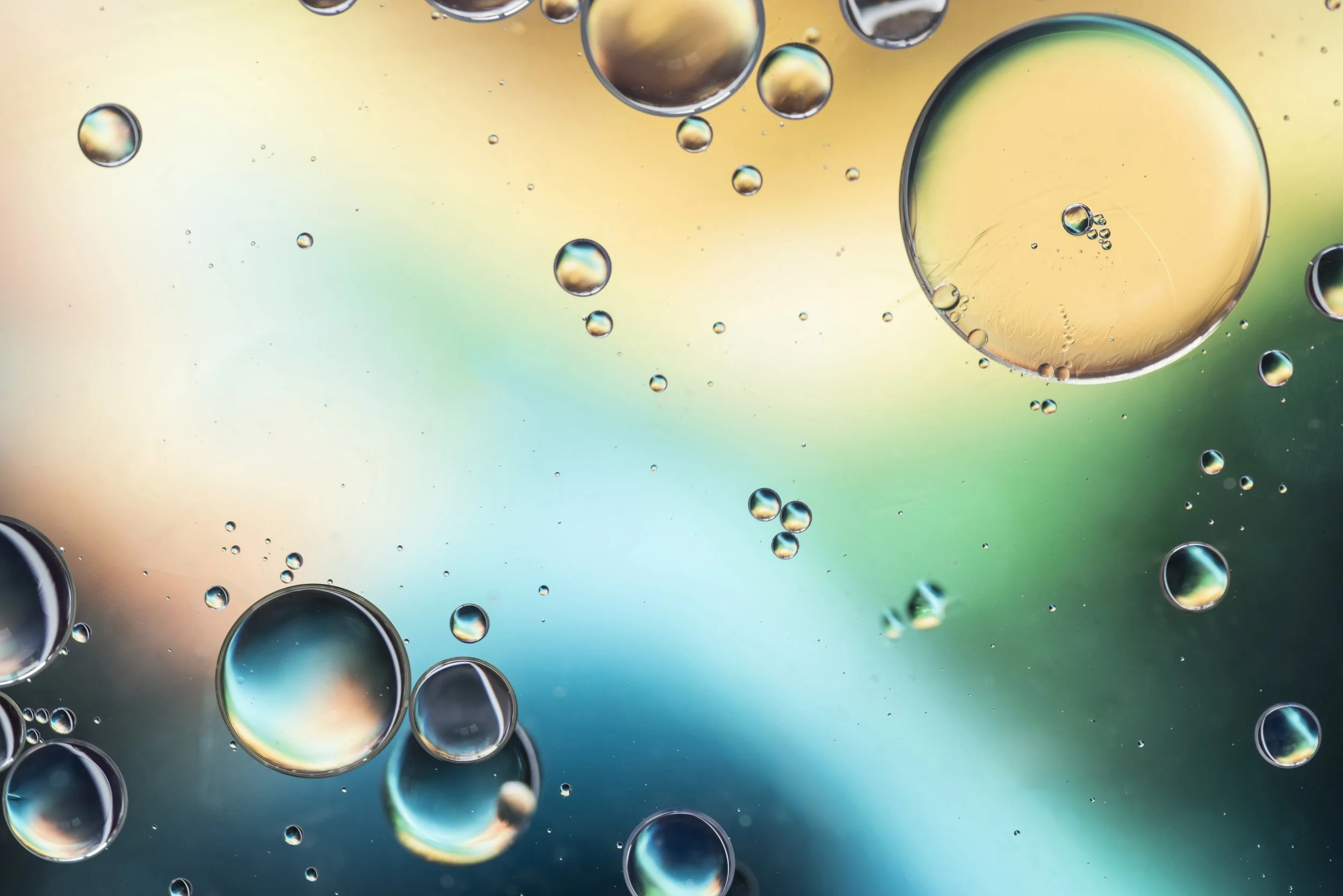 Multiple colorful oil bubbles suspended in water, creating a vibrant abstract background with soft pastel hues and water droplets.