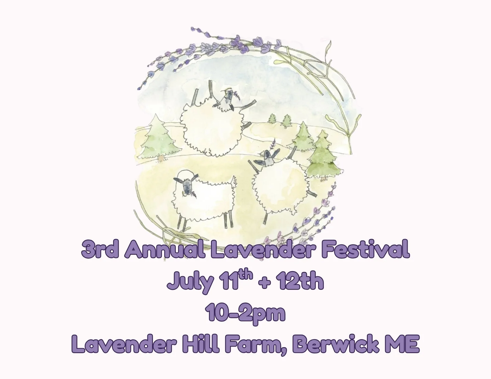 3rd Annual Lavender Festival Jully 11th + July 12th at Lavender Hill Farm in Berwick Maine