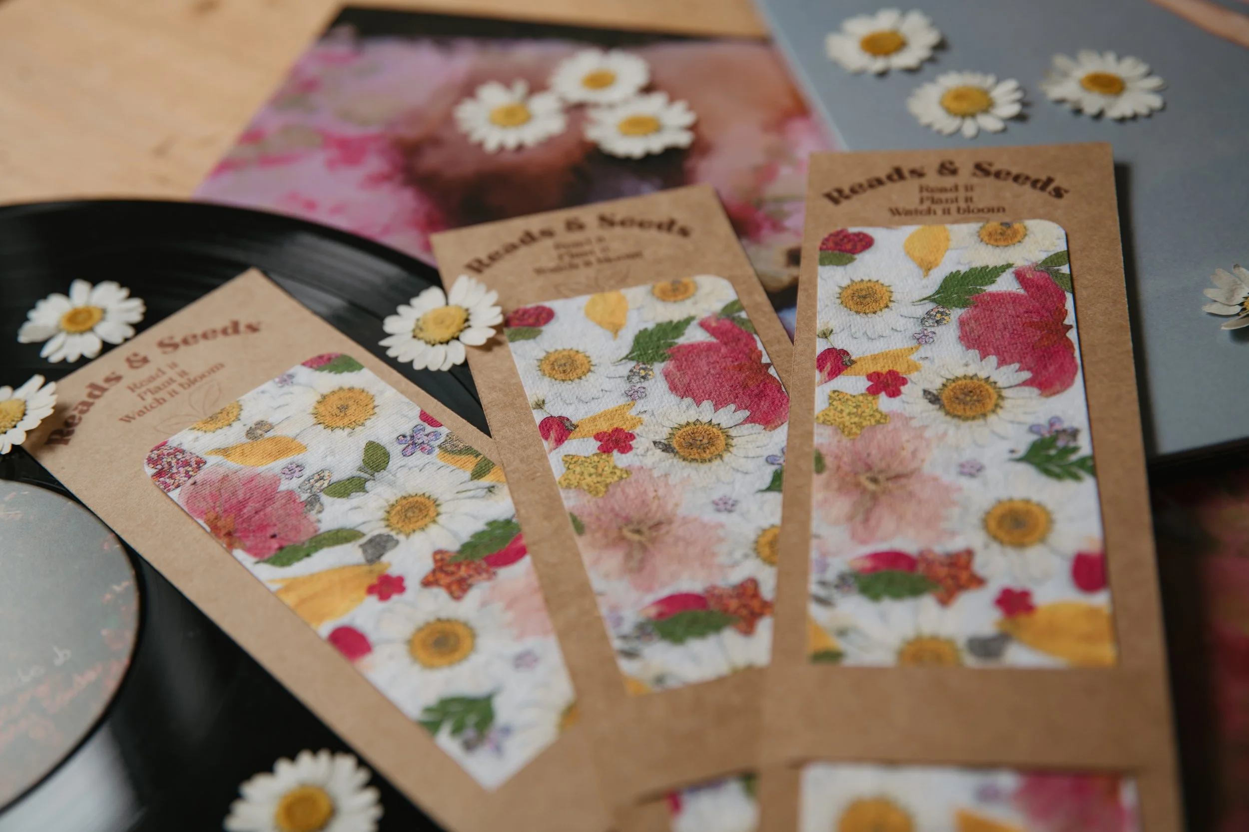 Daisies & Daydreams - Plantable Wildflower Seed Bookmark - Handmade Floral Bookmark by Kaylie Reads