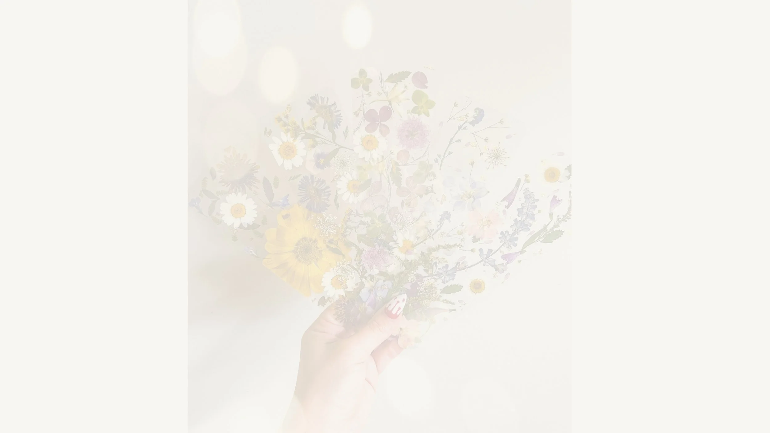 A hand holding a bouquet of assorted wildflowers against a light background.