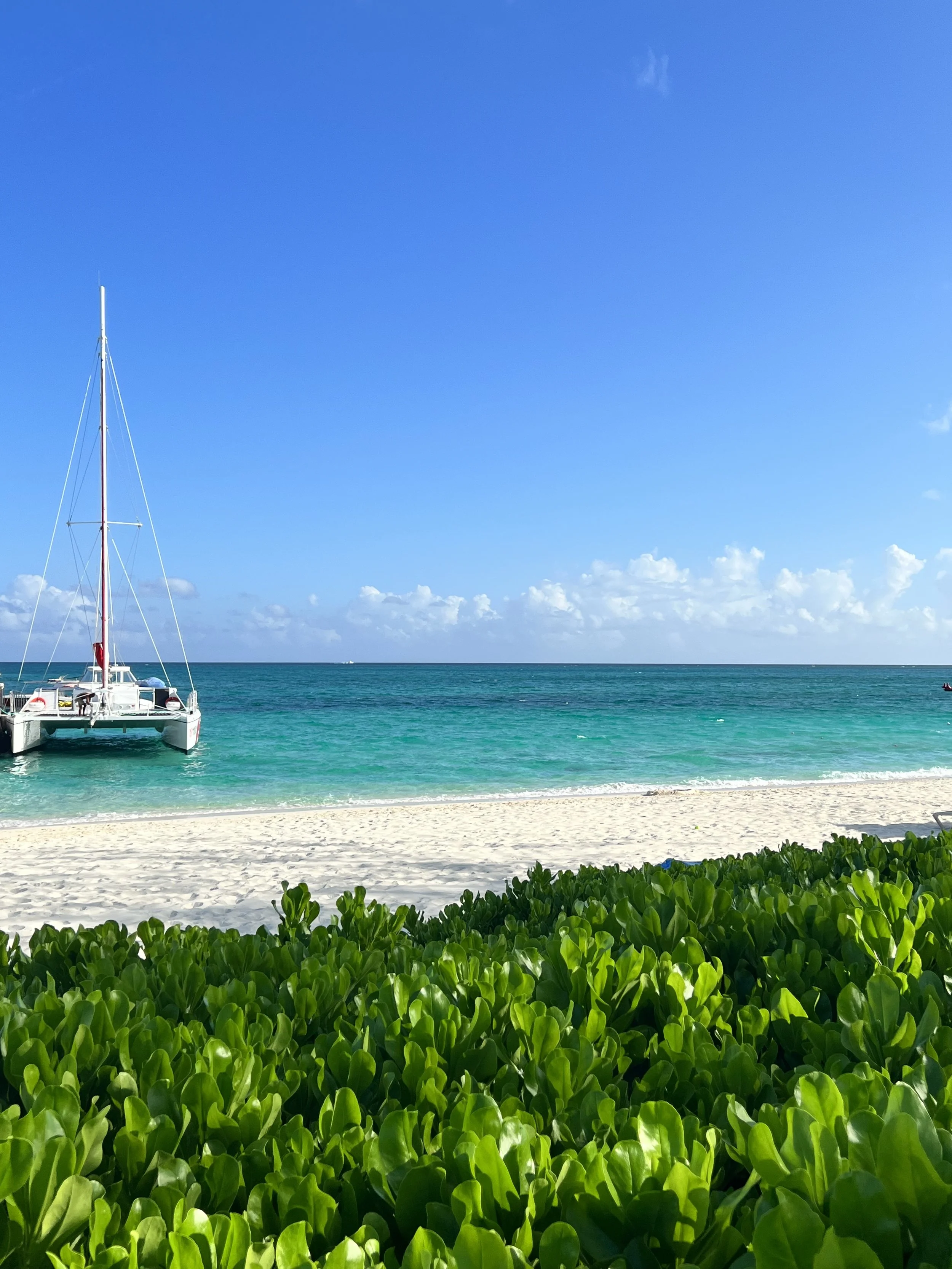 Turks & Caicos beach with catamaran on a blue ocean.  Sandy beach and green leaves.