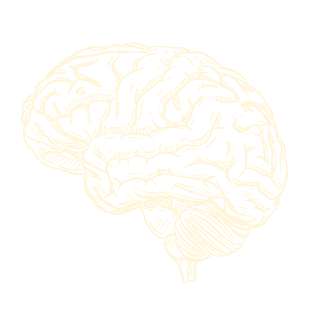 Line art illustration of a human brain on a black background.