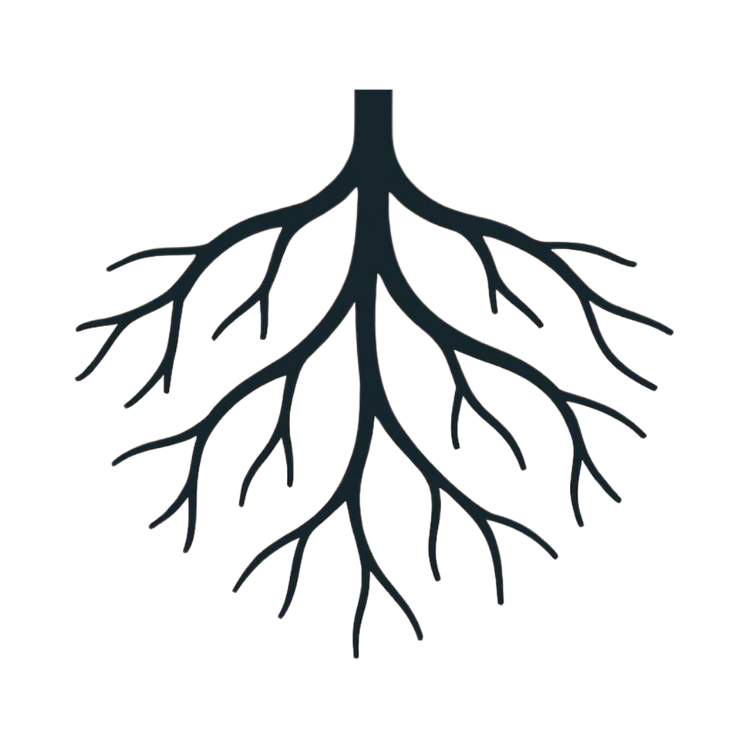 A digital illustration of human lungs with branching bronchi and alveoli, depicted in black against a fully transparent background.