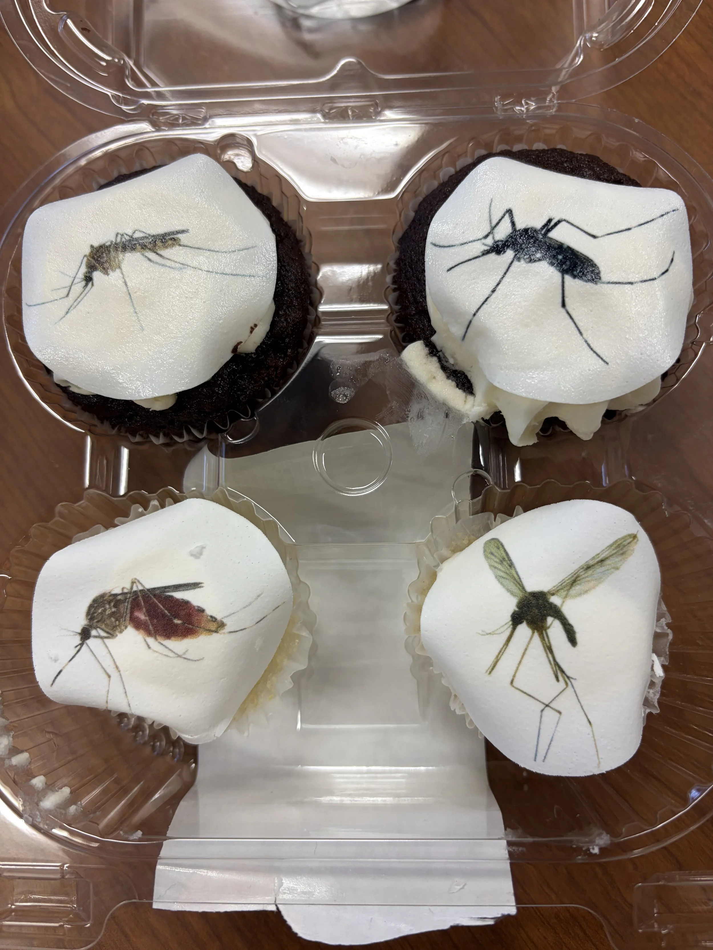 End of Fall Q 2025.jpeg