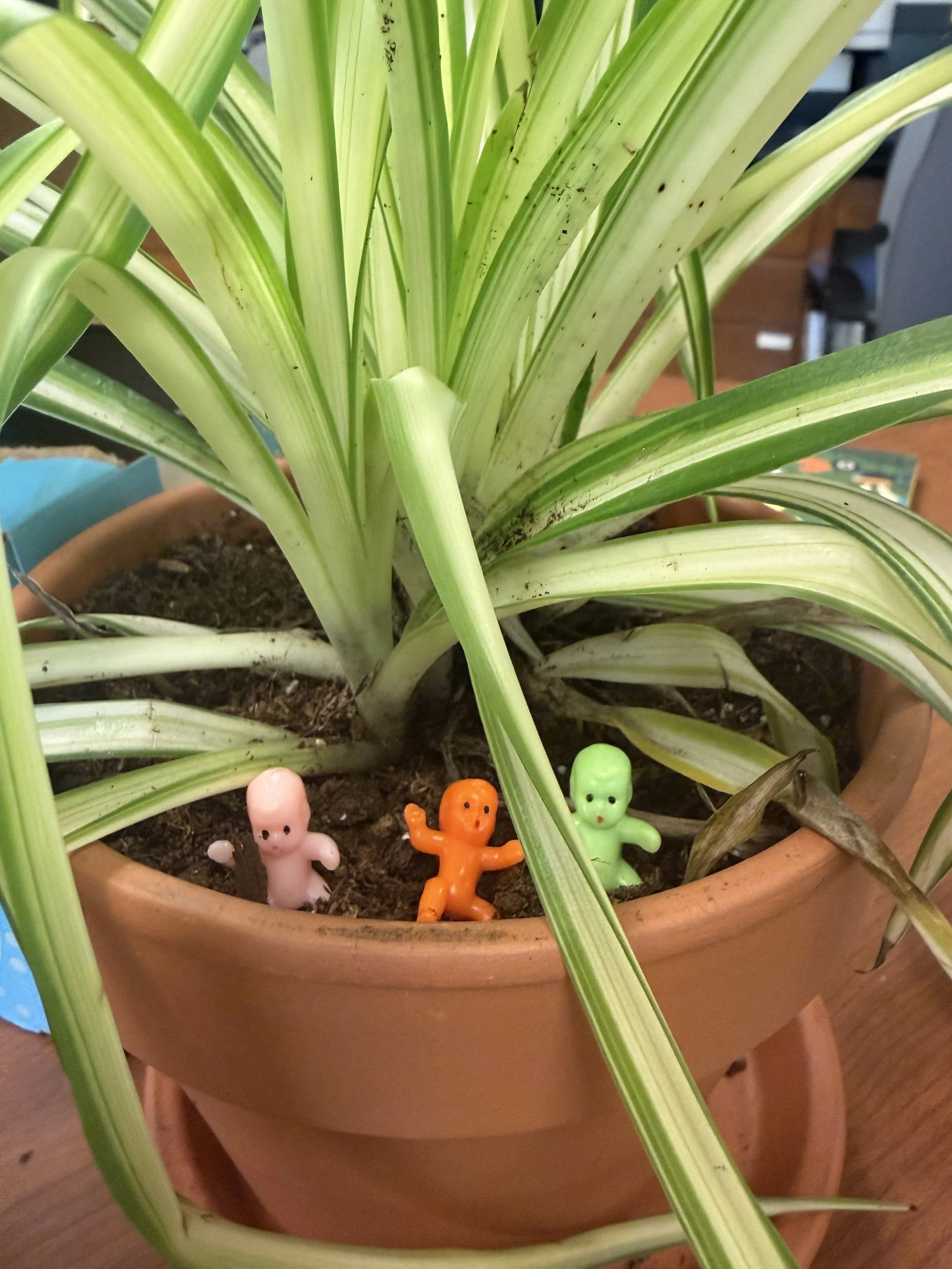 Lab babies 2026.jpeg