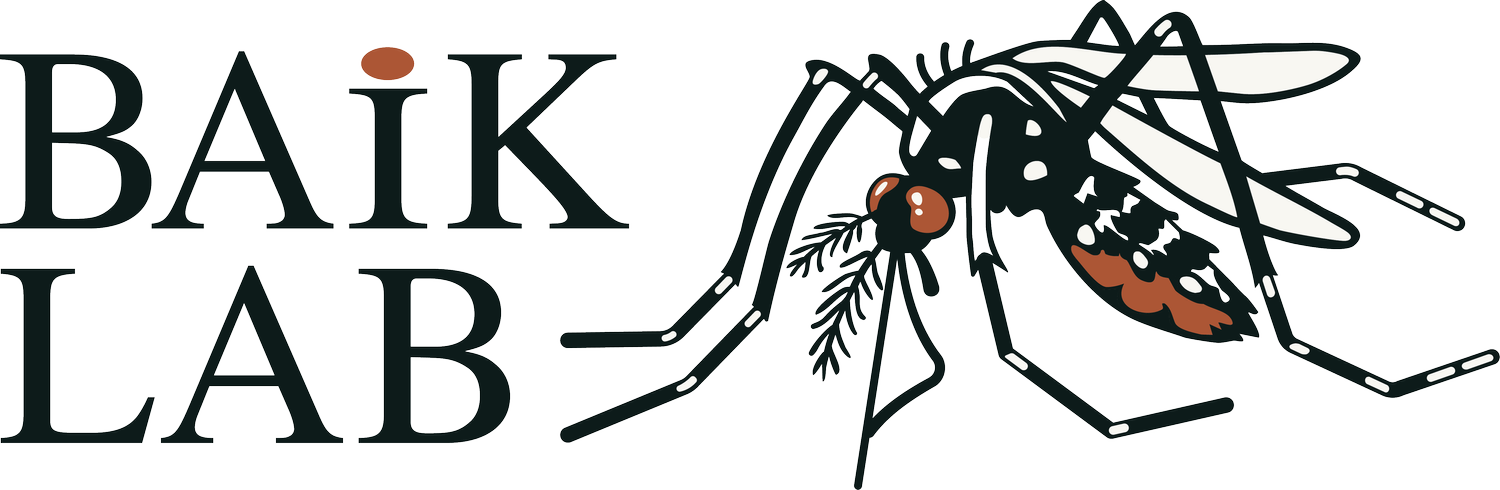 Baik Lab