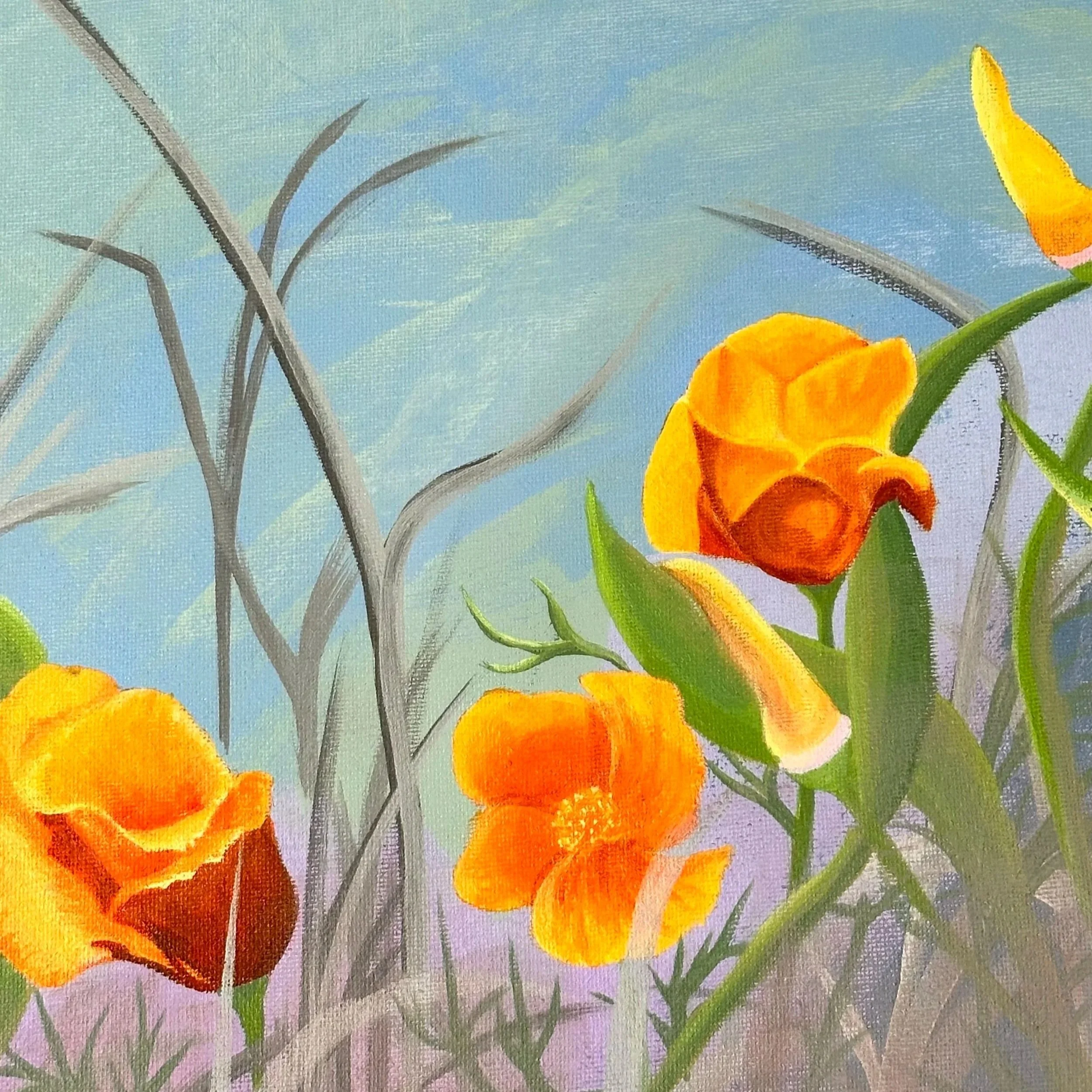 Amid the Heat - Not Available.
Acrylic on canvas, 10 x 10 inches.
Golden petals flare against shifting skies; these California poppies bloom defiantly along BC's coast. They thrive in sun-baked soil, persisting through drought and flame.