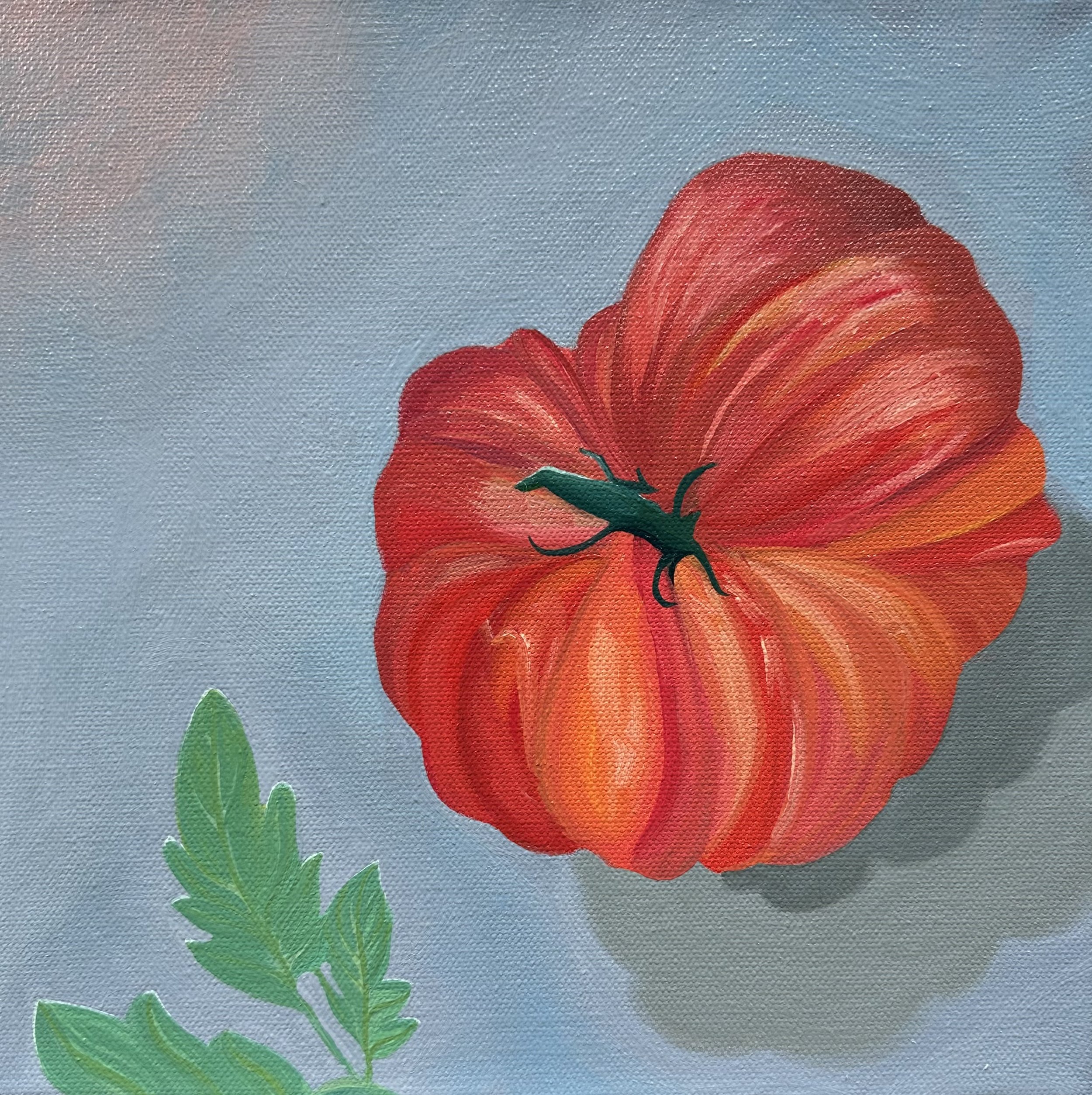 Heirloom Heart.
Oil on canvas. 8 x 8 inches.
This richly toned still life honours the cherished legacy of heirloom tomatoes in Canada. Grown abundantly across backyards and small farms, this variety speaks to nourishment passed through generat