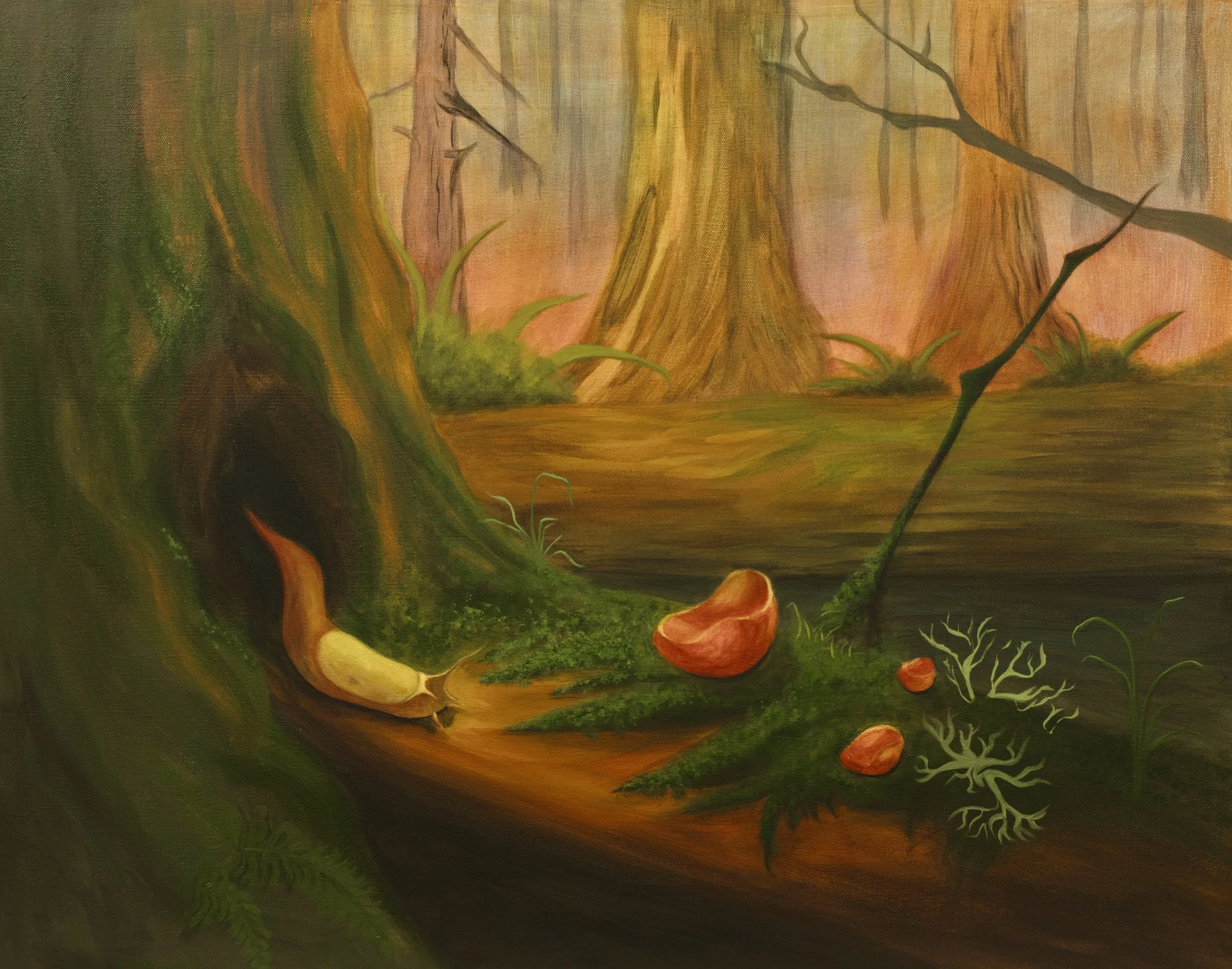 The Keeper of Small Worlds
 Acrylic on 24 × 30 inch canvas

A banana slug emerges from a tree hollow among scarlet elf cups and lichens on the coastal forest floor. Often overlooked, these quiet caretakers of the understory contribute to nutrient cyc