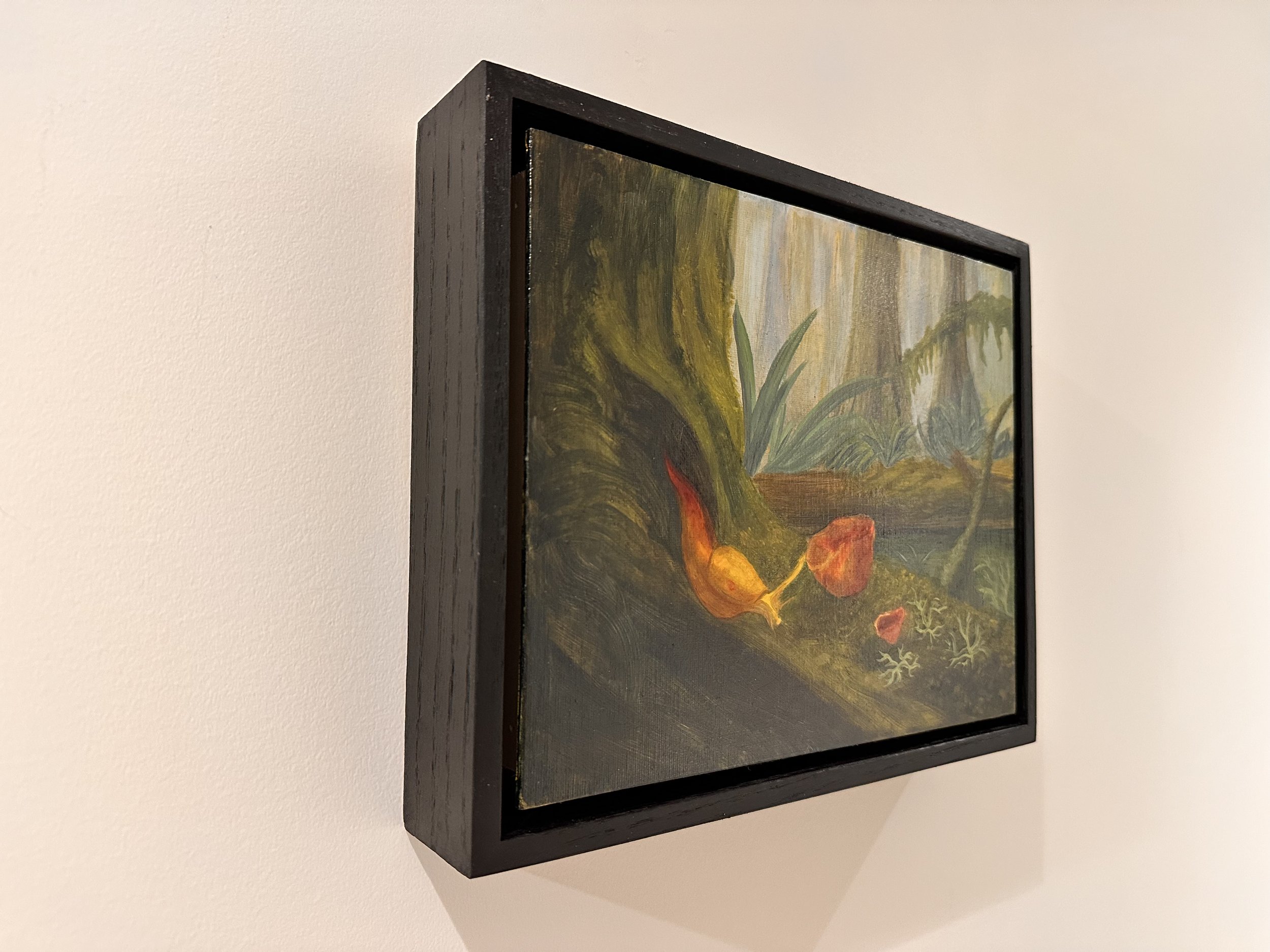 Angled photograph of From the Mossy Hollow by Cee, showing the oil painting on canvas board in a two-inch-deep black-stained red oak float frame.