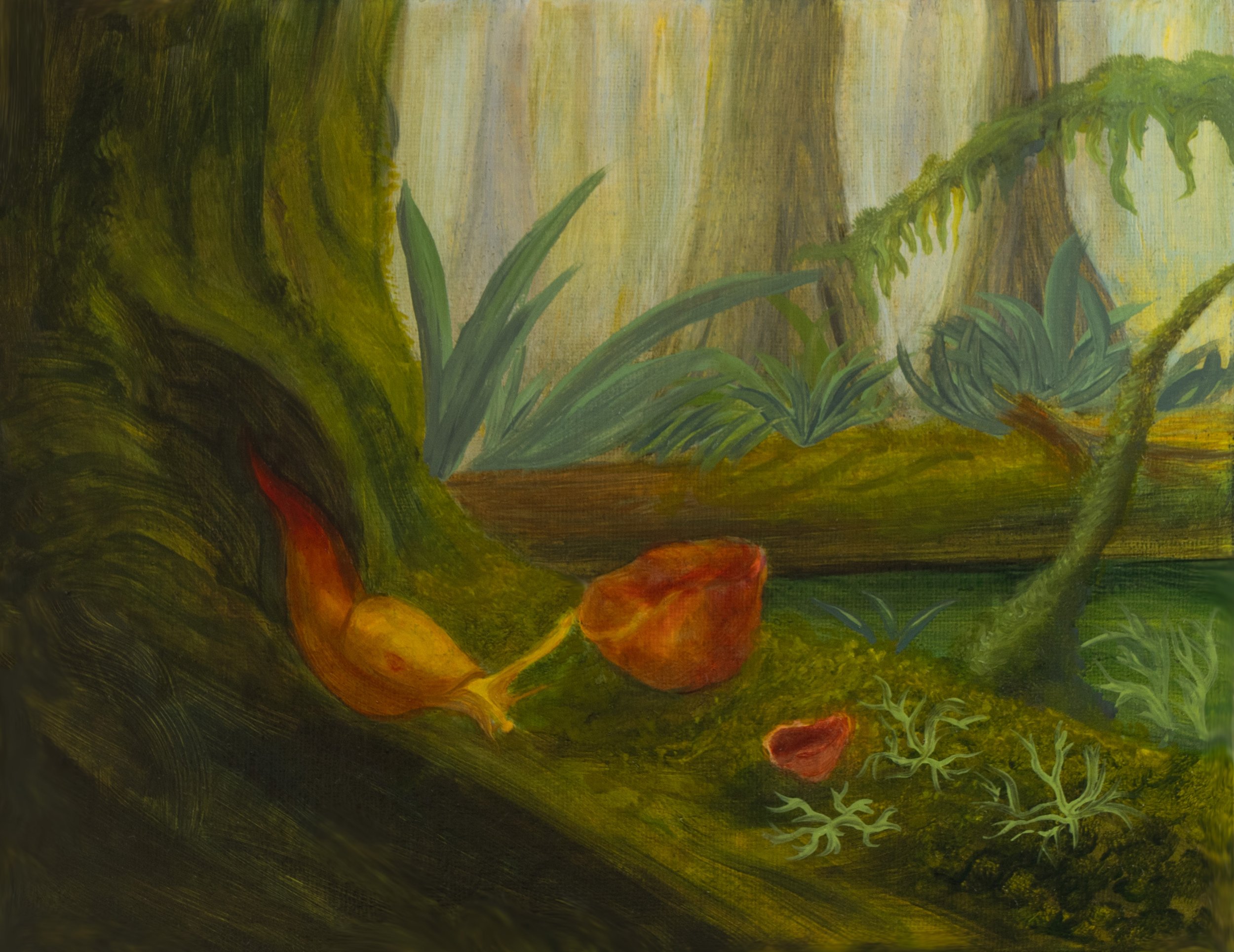 From the Mossy Hollow by Cee, an original oil painting of bright yellow-orange banana slugs moving among moss, fallen wood and lush vegetation on a temperate rainforest floor.