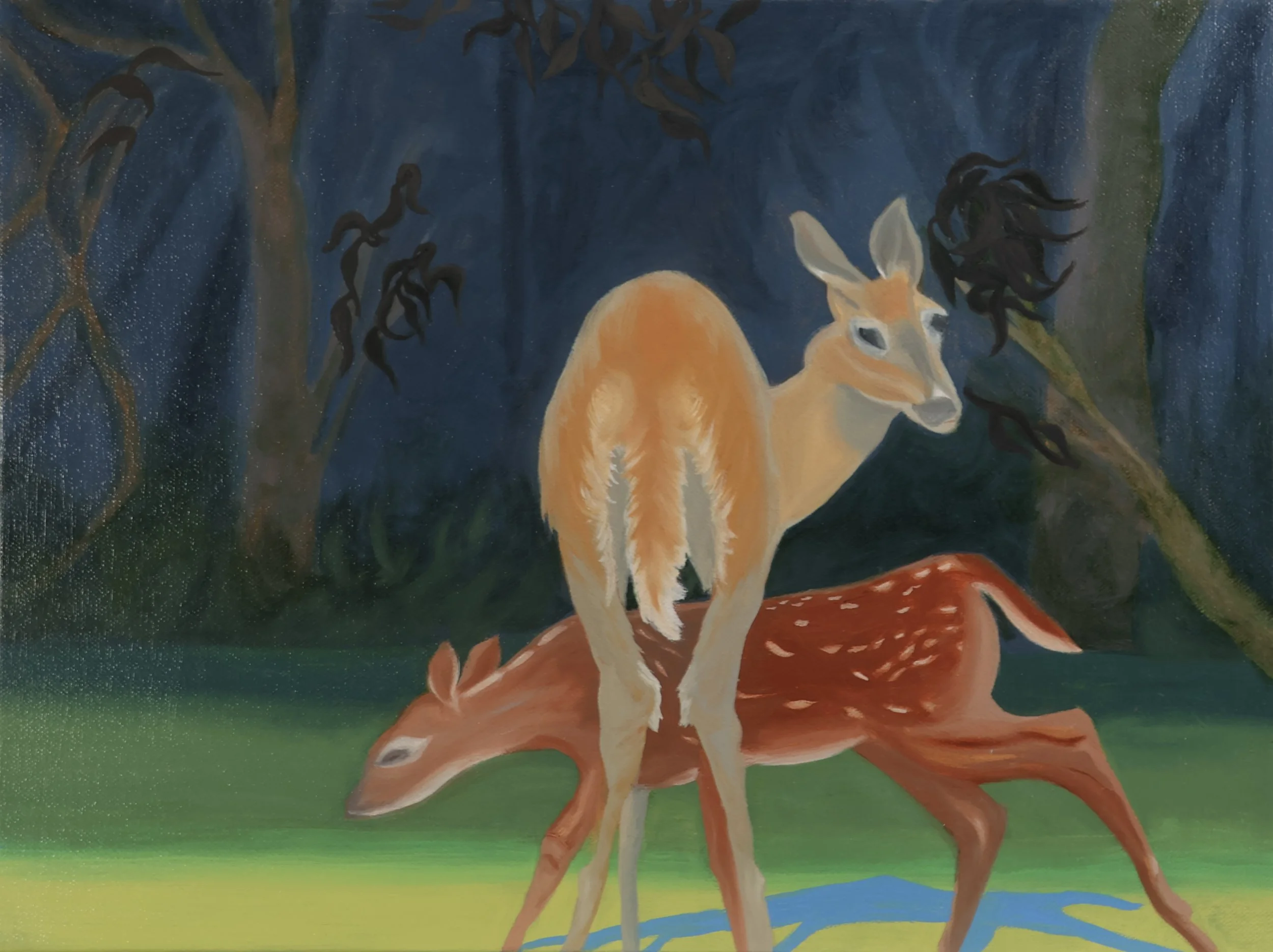 Sheltered.
Oil on canvas, 12 x 16 inches.
A quiet bond in the wild.
This mother and fawn—white-tailed deer of Western Canada—move through shadow and light in a fragile forest world.