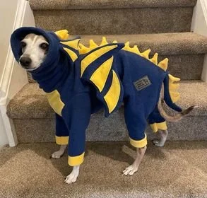 Drexel Dragon.jpeg
