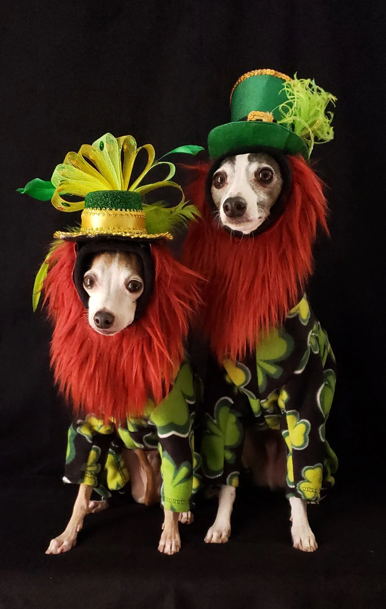 Saint Pats Denver and Cappi.jpeg
