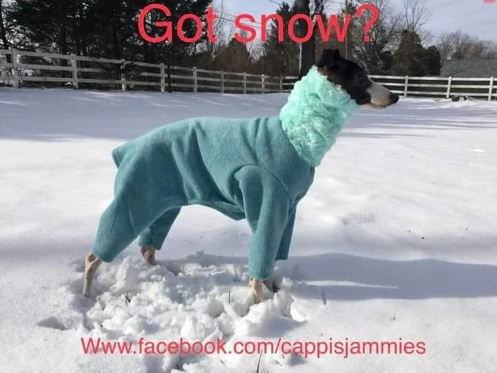 Got Snow.jpeg