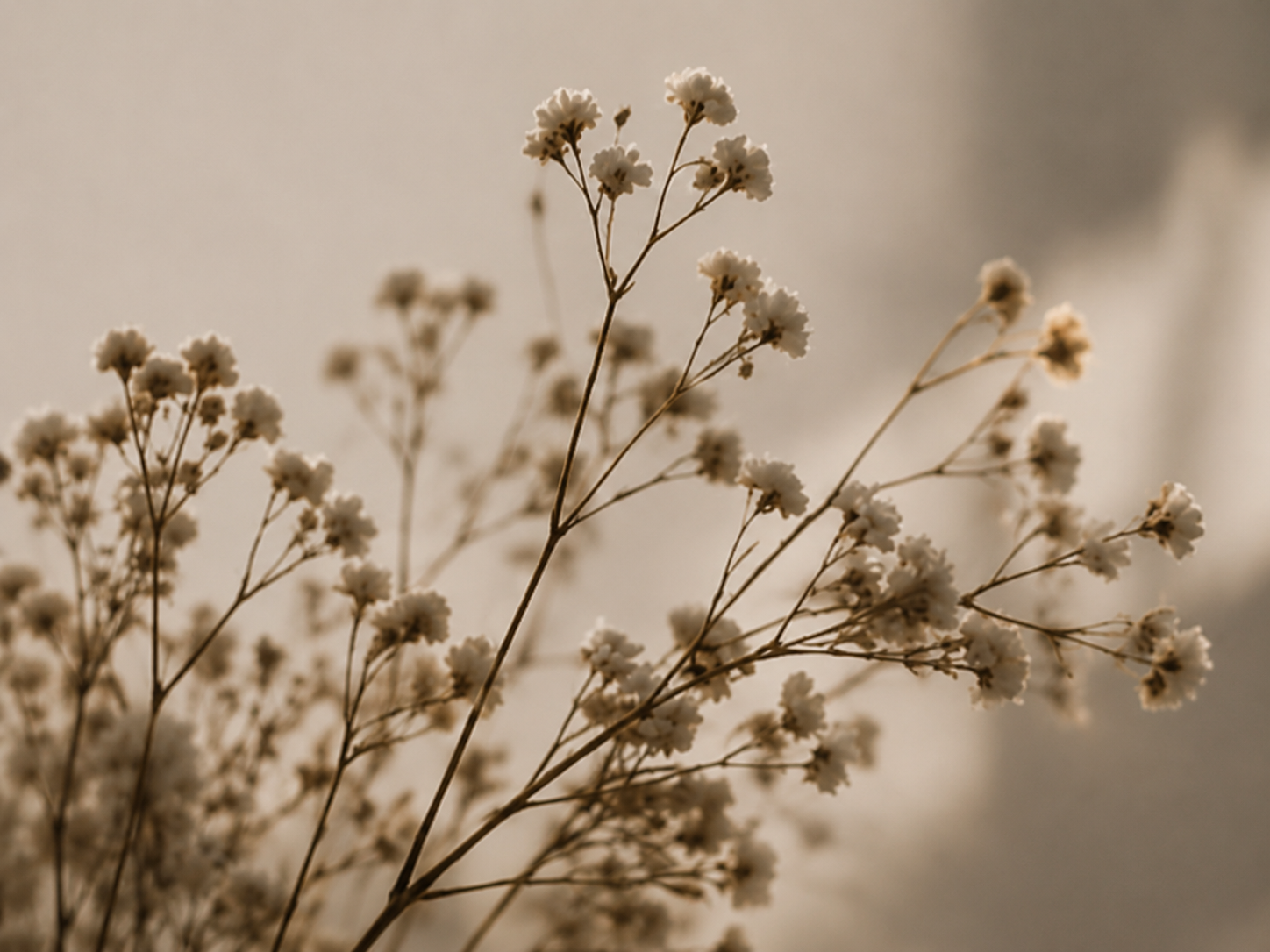 Online pregnancy loss therapy for miscarriage, stillbirth, and reproductive grief