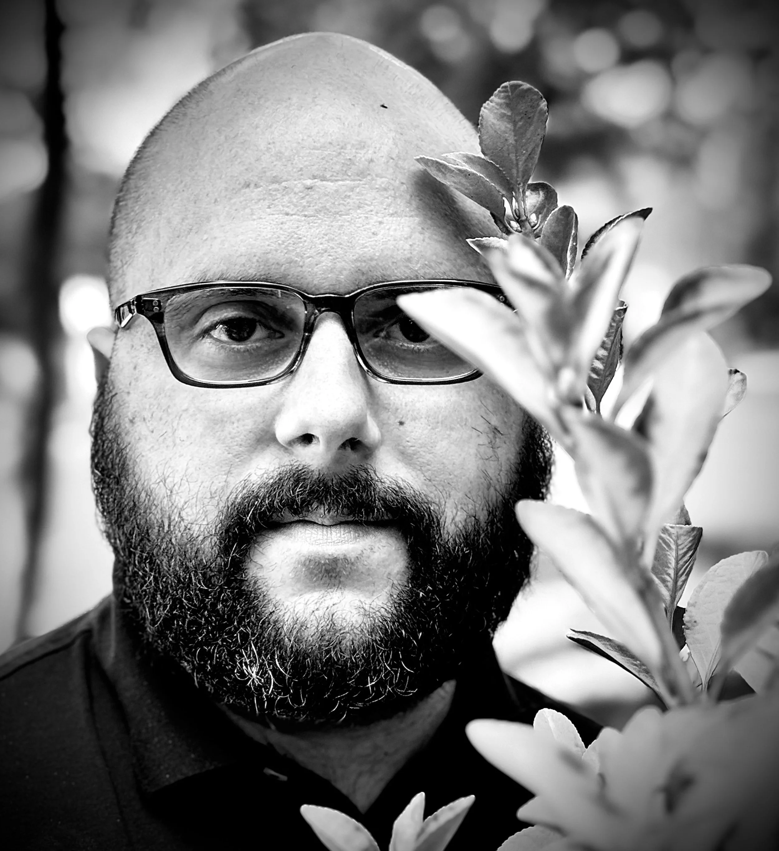 Joseph Matthews - Creator of Echo Fever