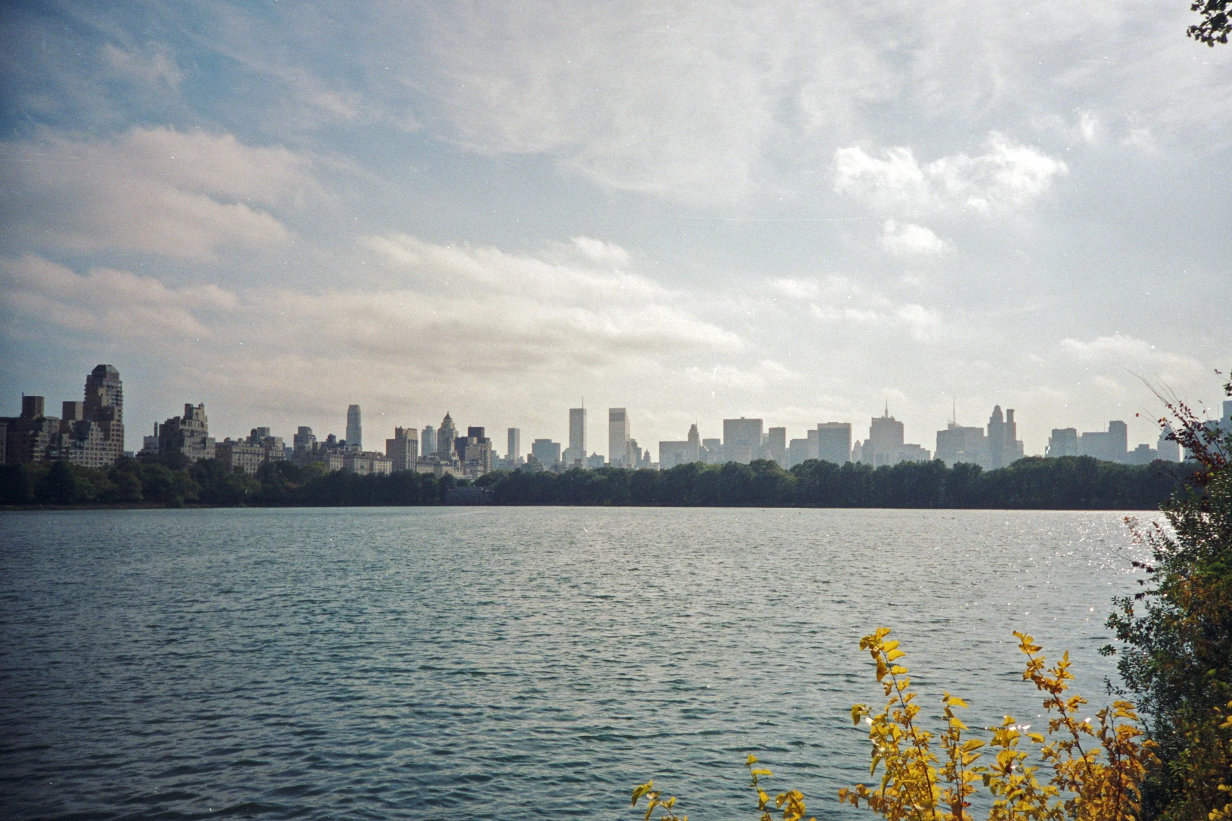 A city skyline with tall buildings across a body of water, with some trees and yellow flowers in the foreground, and a partly cloudy sky above.