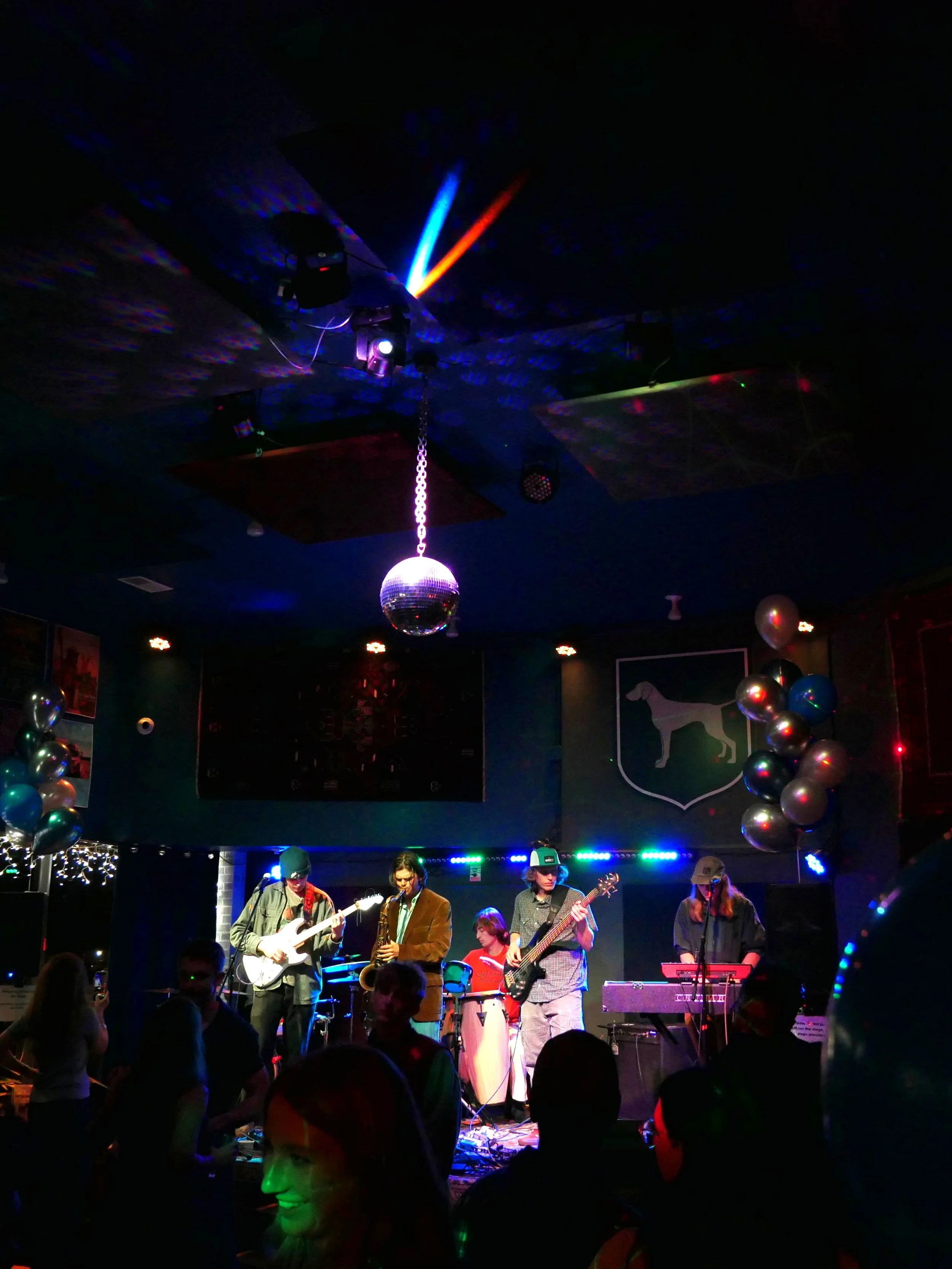 Greydog Bar | Bozeman MT 