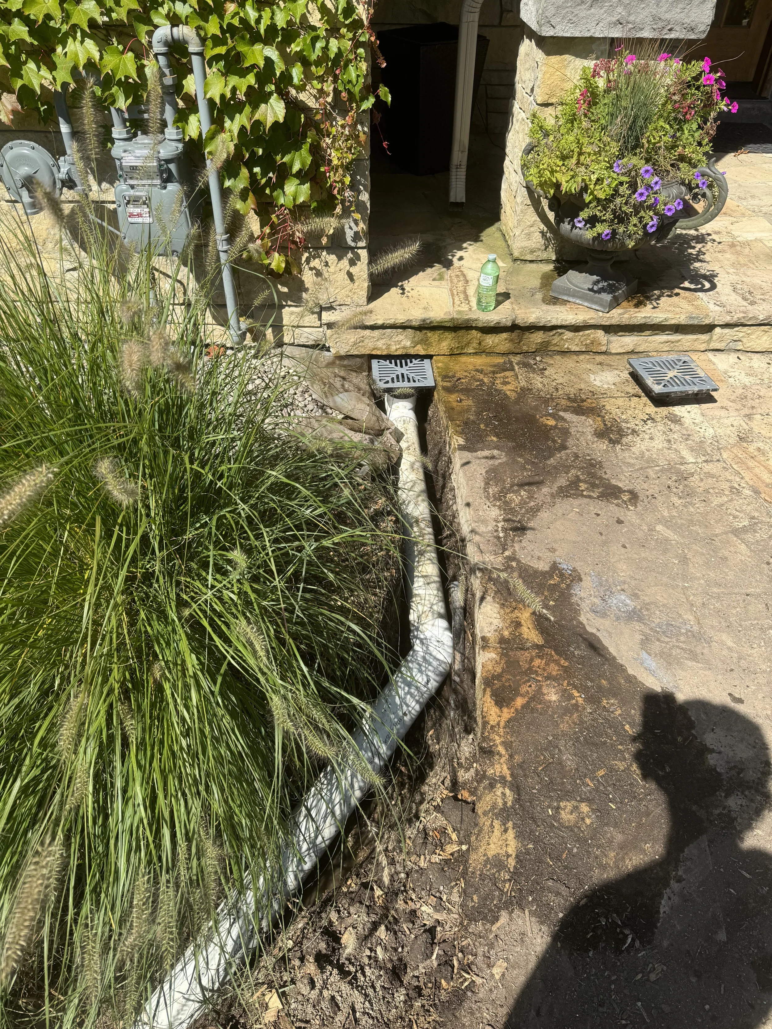 An outdoor scene showing a stone porch with drainage grates, a large planter with purple and pink flowers, a green water bottle, a downspout, and some utility meters.