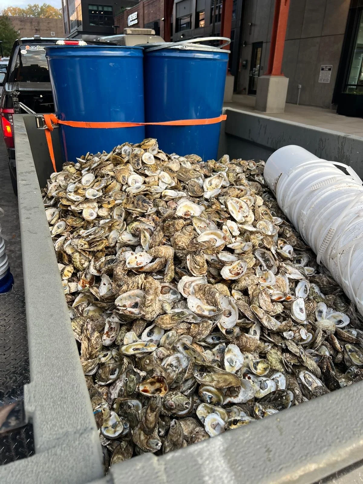 POV from one of the coordinators yesterday at #rawleighoysterfest 👀

13,000 oysters were served and will be diverted to our NC shorelines!!! @nccoastalfed @frankielemmonsch @oystershellrecyclerswake @nativeshorelines  @raleighcleanup