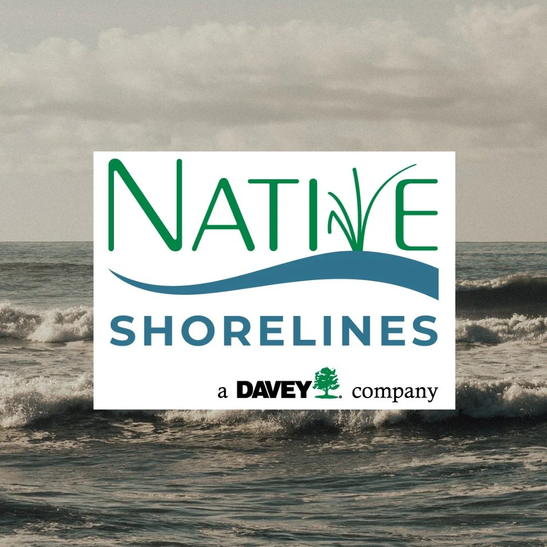 Our friends at @nativeshorelines are with us again leading the way in coastal resilience. If you didn't know, these guys create living shorelines which can improve water quality, provide habitat, increase biodiversity, and promote recreation. Let's g