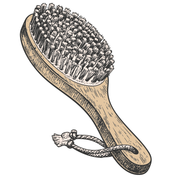 illustration-body-brush