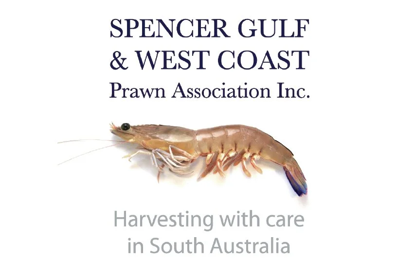 Large Sector Association