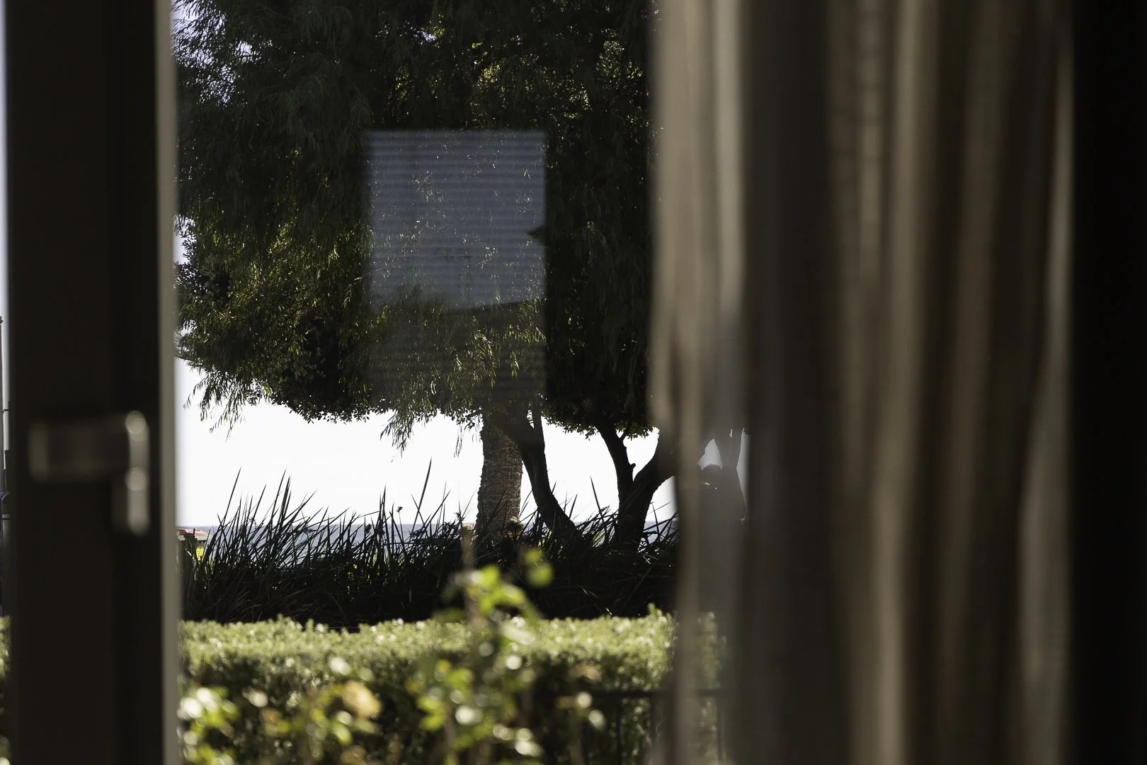 by with baxter-27.JPG