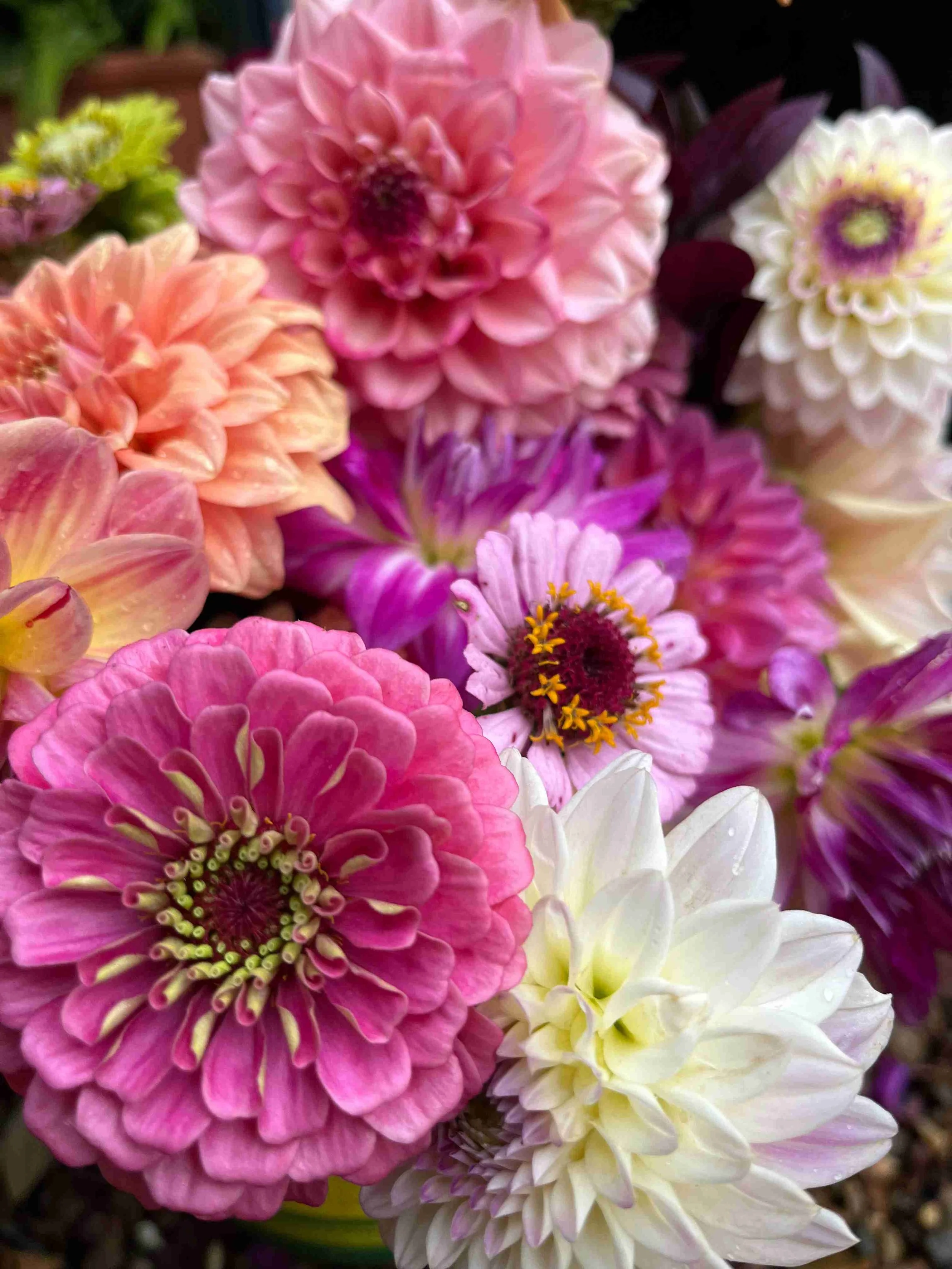 Build your own Bouquet! 