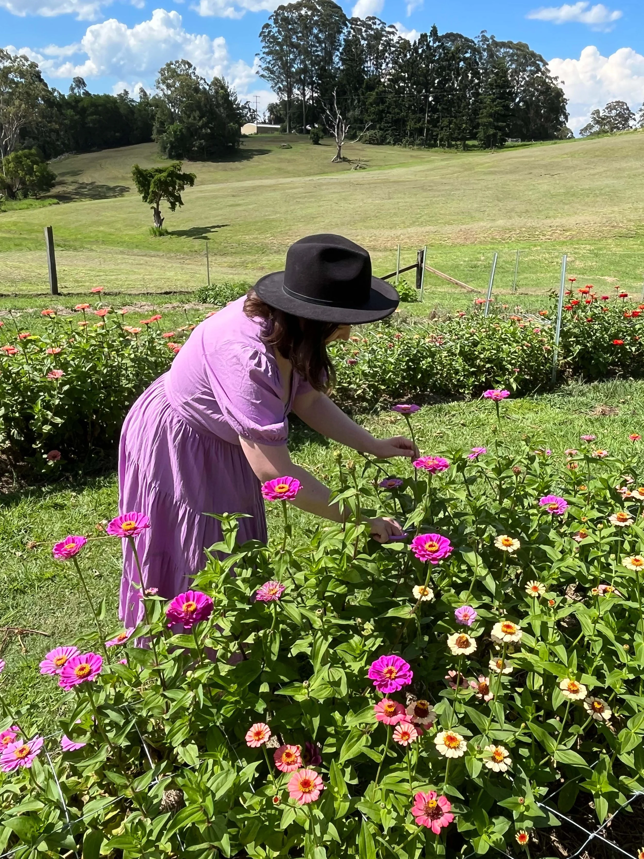 Golden Hour - Build your own Bouquet! 