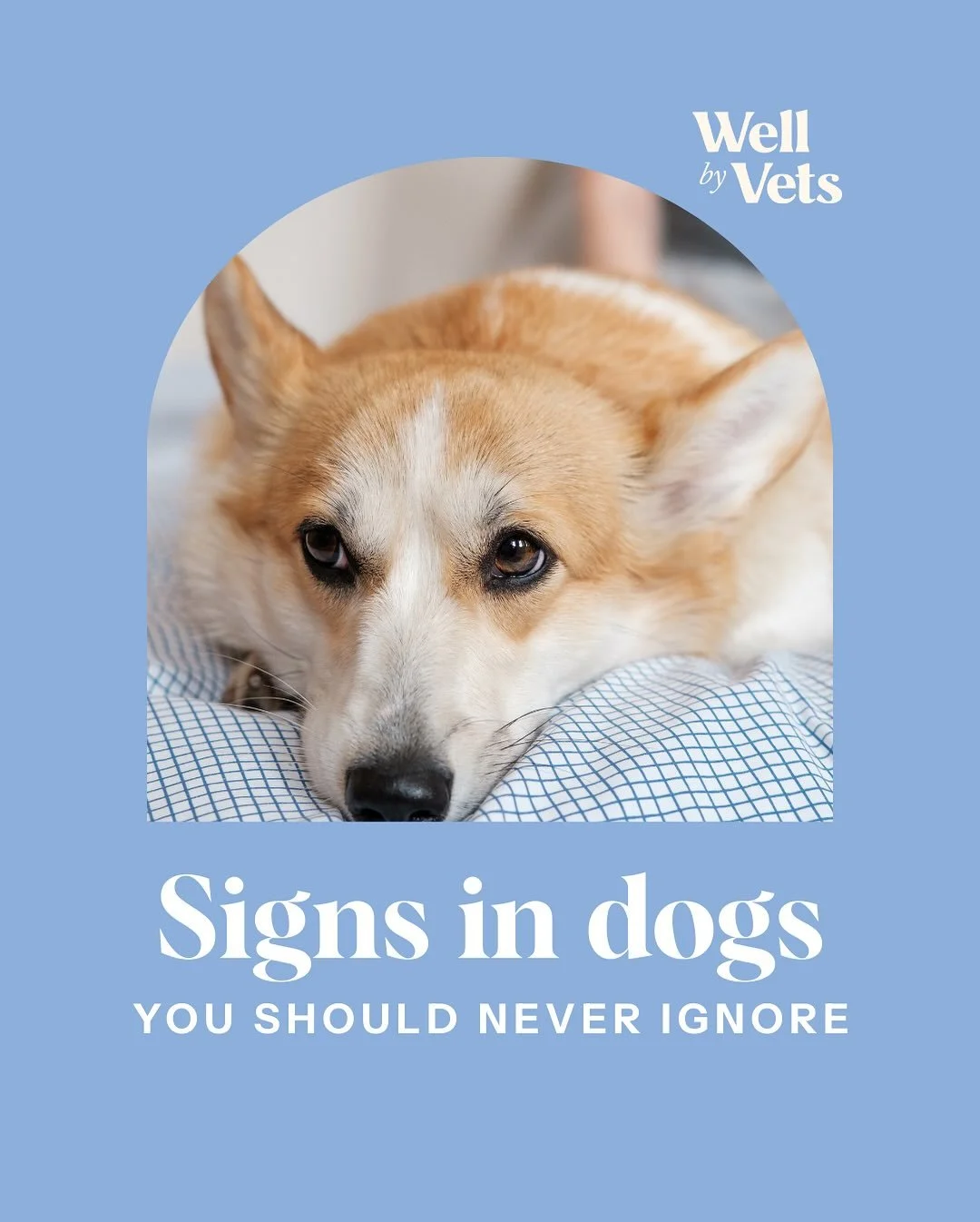 Dogs can hide pain or illness until it is advanced.

Subtle changes in your dog&rsquo;s behaviour, routines and lifestyle can be easy to overlook

Noticing small changes can help detect problems to maximise comfort and improve outcomes.

These are ju