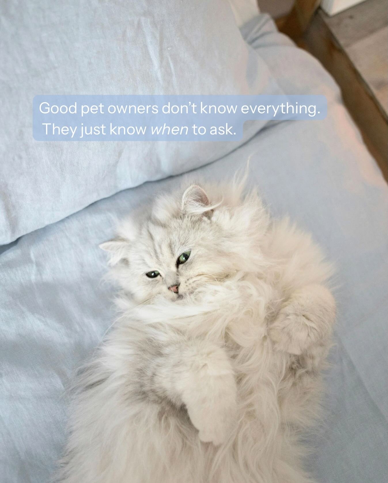 Care isn&rsquo;t about knowing everything.
It&rsquo;s about paying attention.

And feeling comfortable asking when something doesn&rsquo;t feel right.